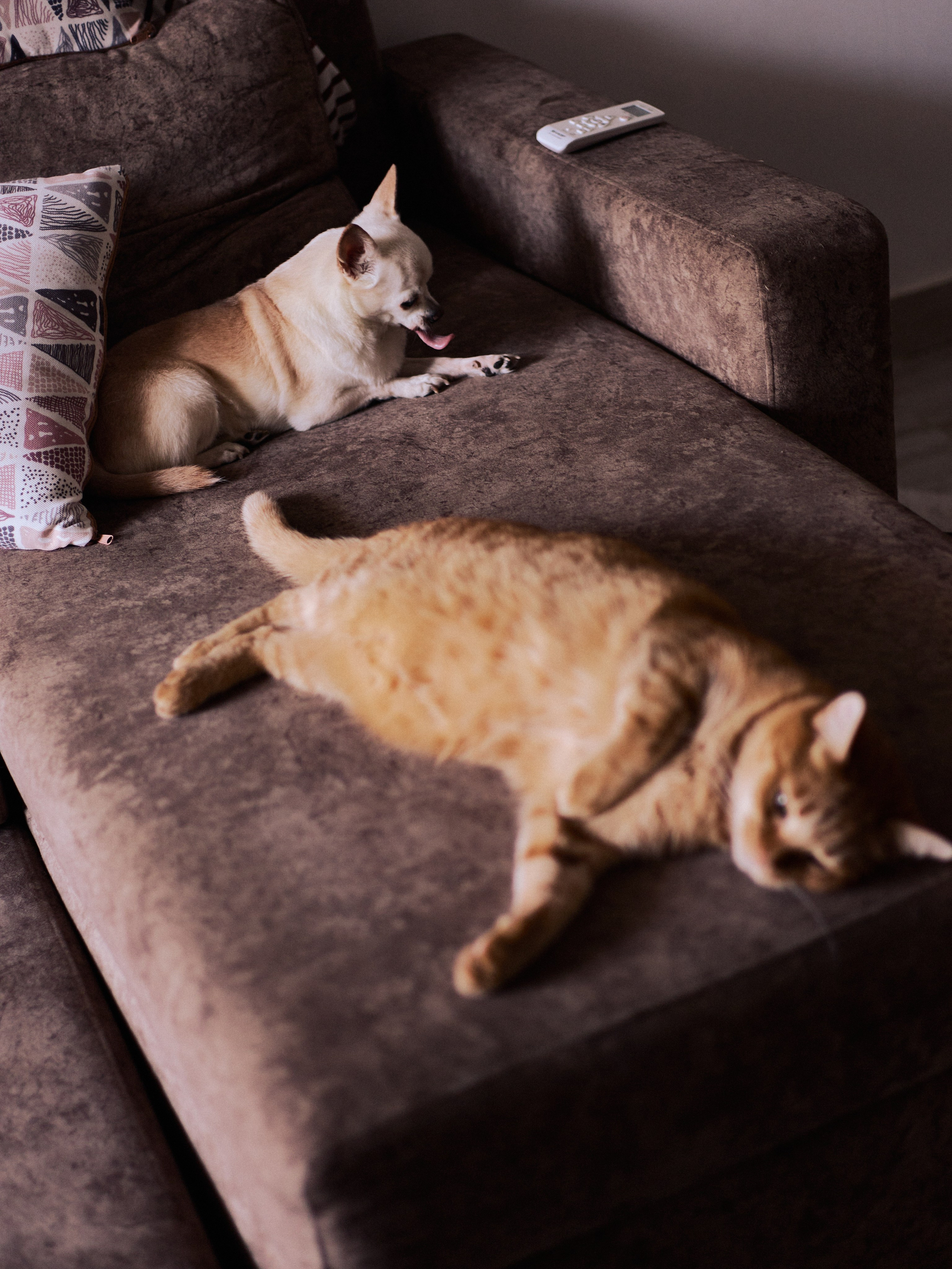 Другое 3. Jorgis Talè — photographer, kind person, teacher of arts and other mag