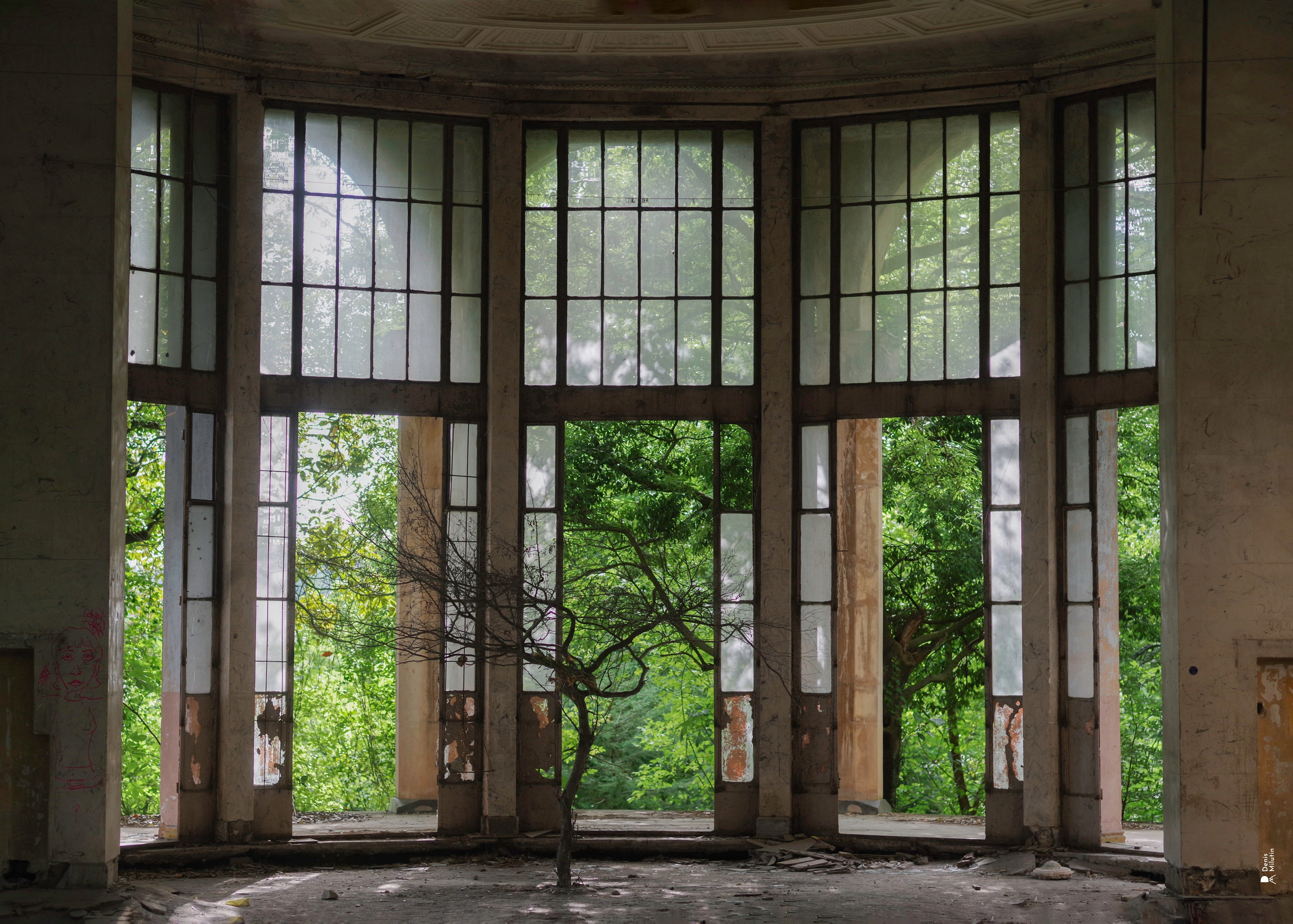 В отпуске с Артёмом. Портретный фотограф Денис Милютин