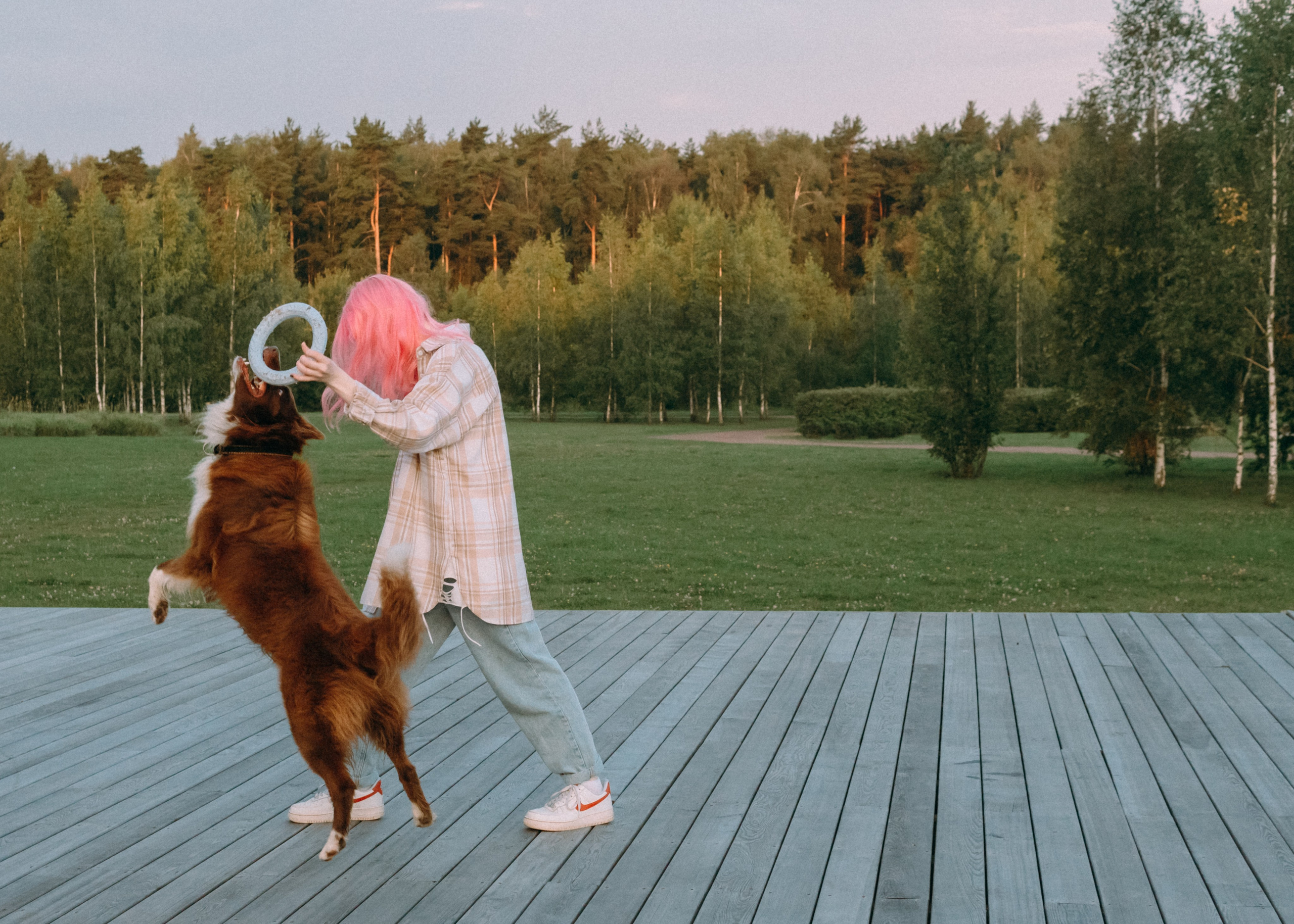 Виолетта, Лила и Питер. Фотограф-анималист Ксения Воробьева, Москва