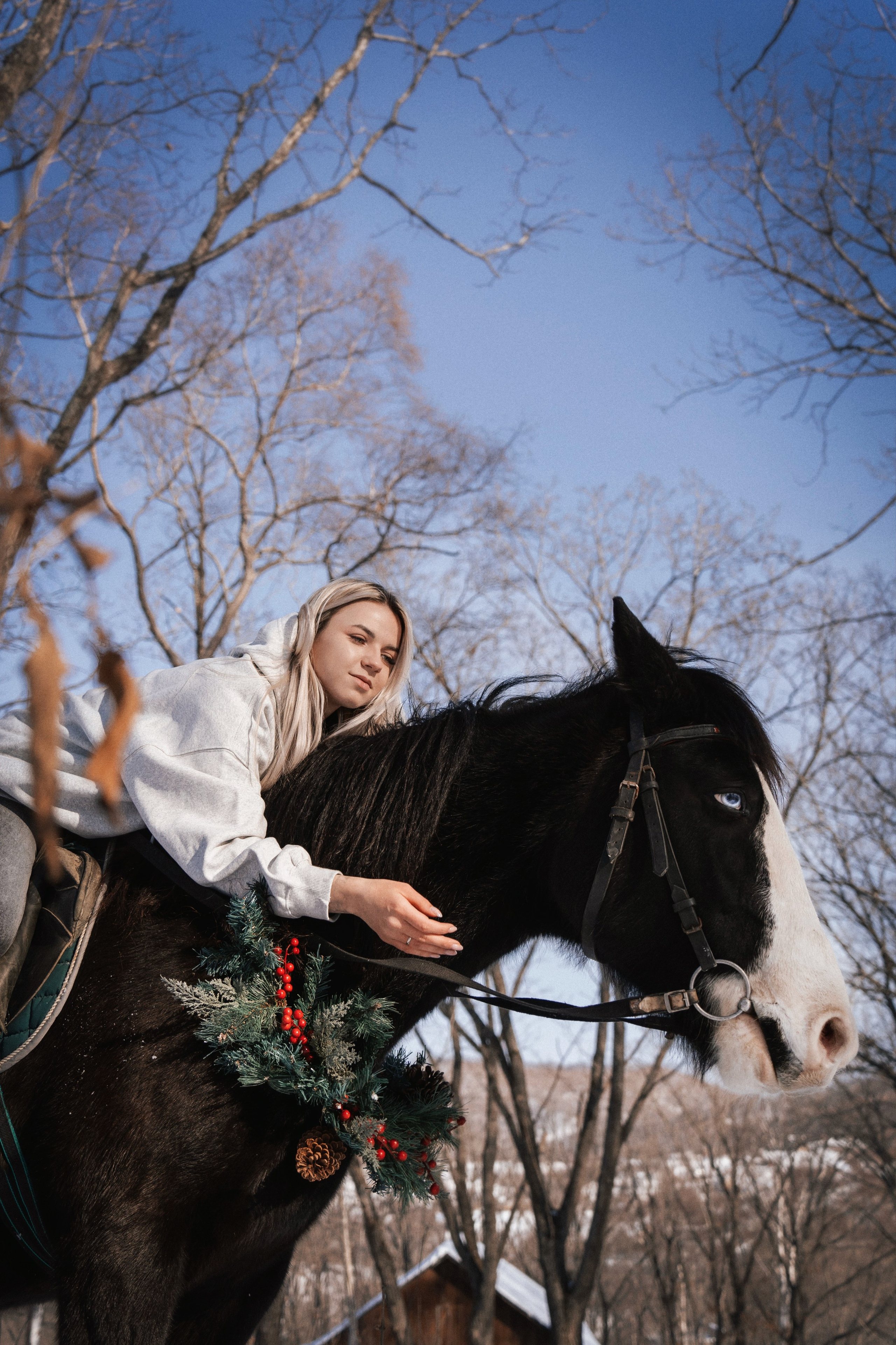 Фотодень «Символ 2026 года». Семейный фотограф анималист г. Находка