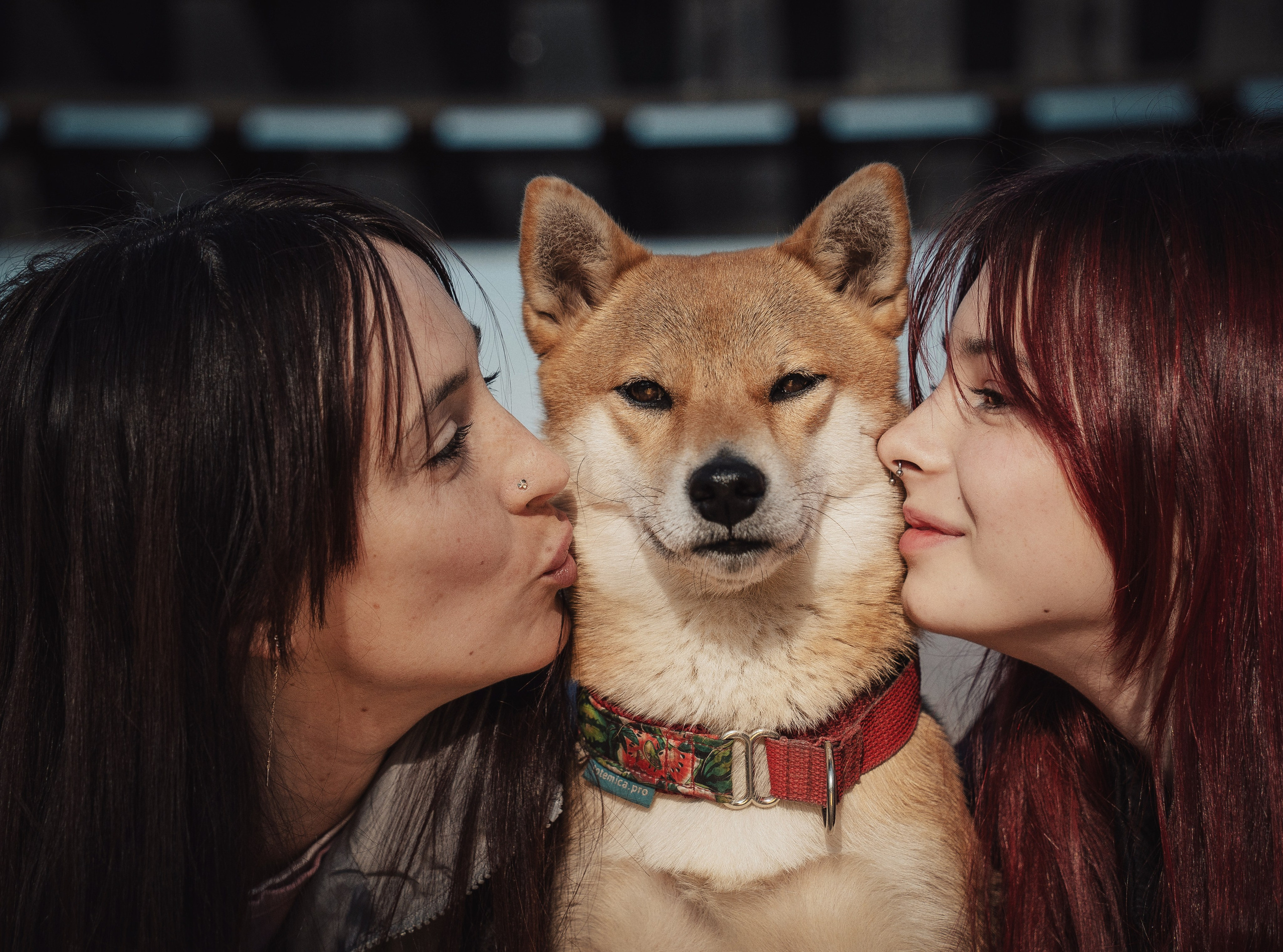 Отзывы. Семейный фотограф анималист г. Находка