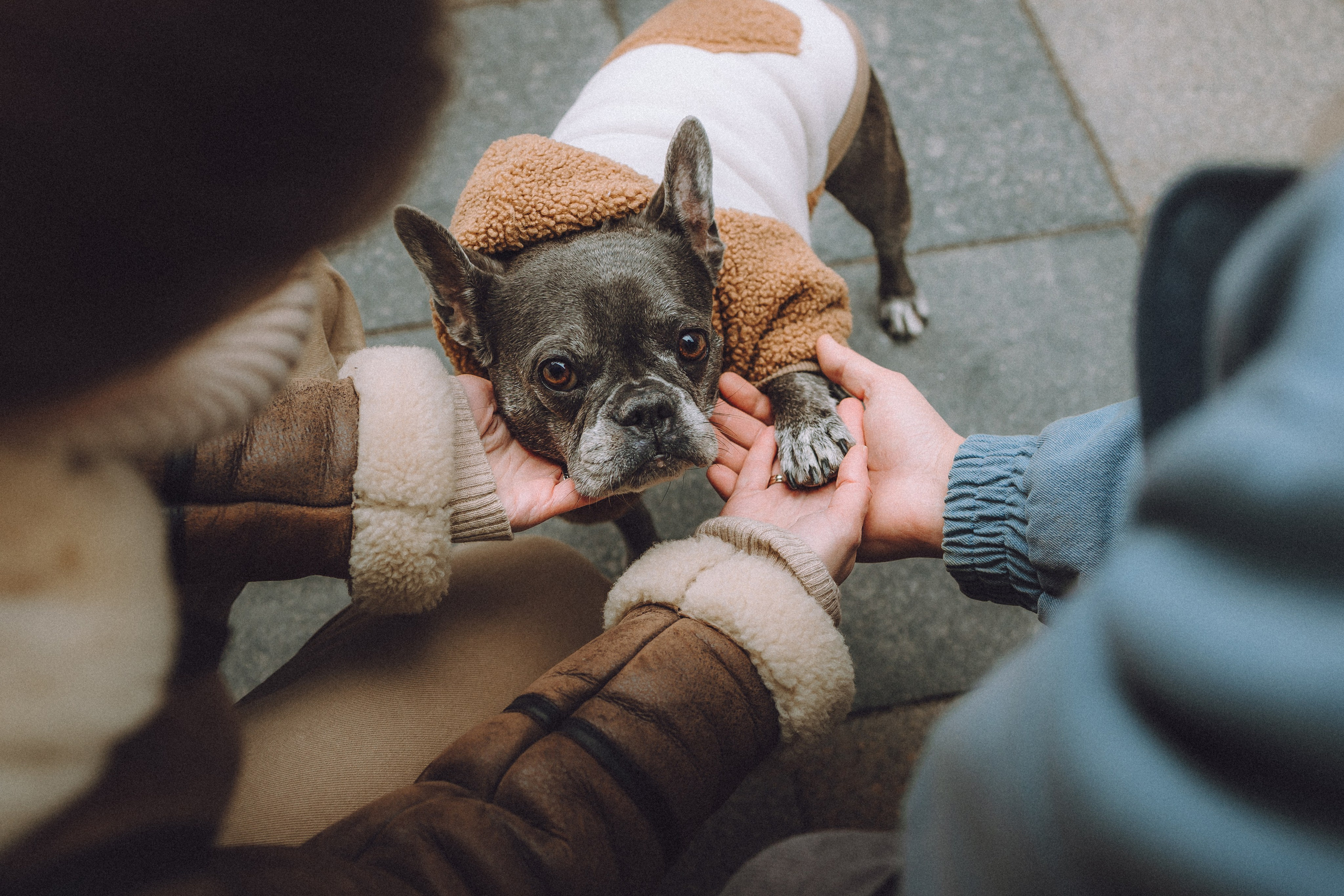 Юля, Вова и Моня