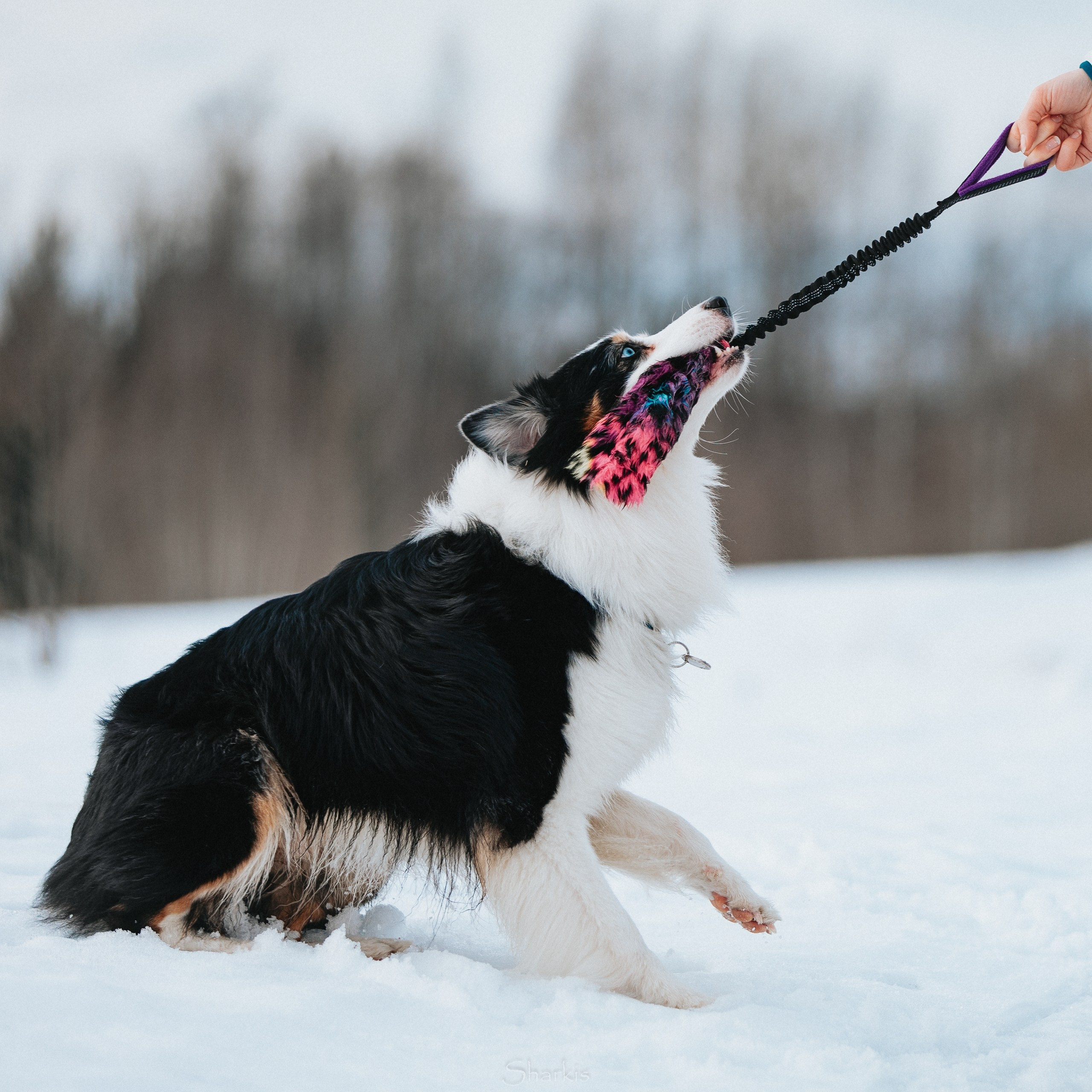 Гелий и Тсахик. Фотограф Елизавета Филатова