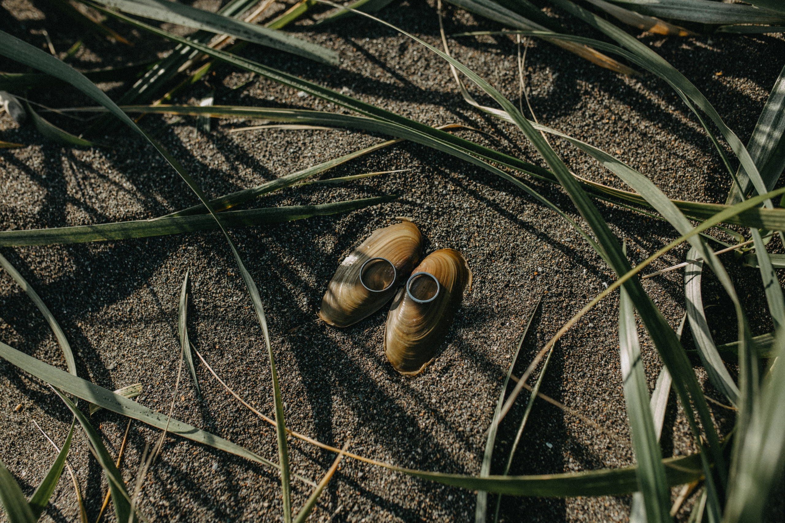 Вертолетный полет Бухта Жировая. Свадебное фото и видео на Камчатке. Туристические маршруты