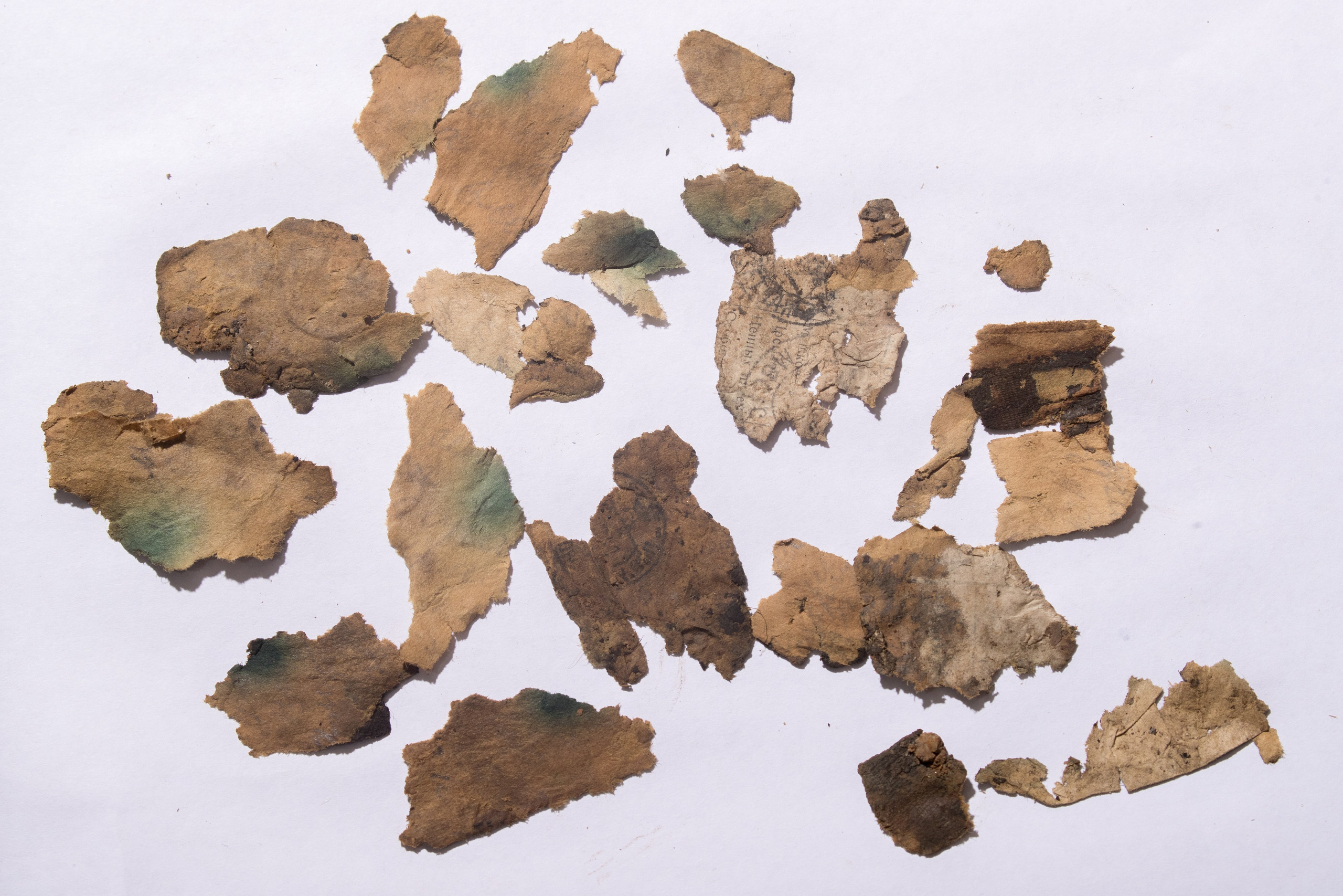 Ржев. Калининский фронт. Виктор Вытольский —репортажный и событийный фотограф в Москве