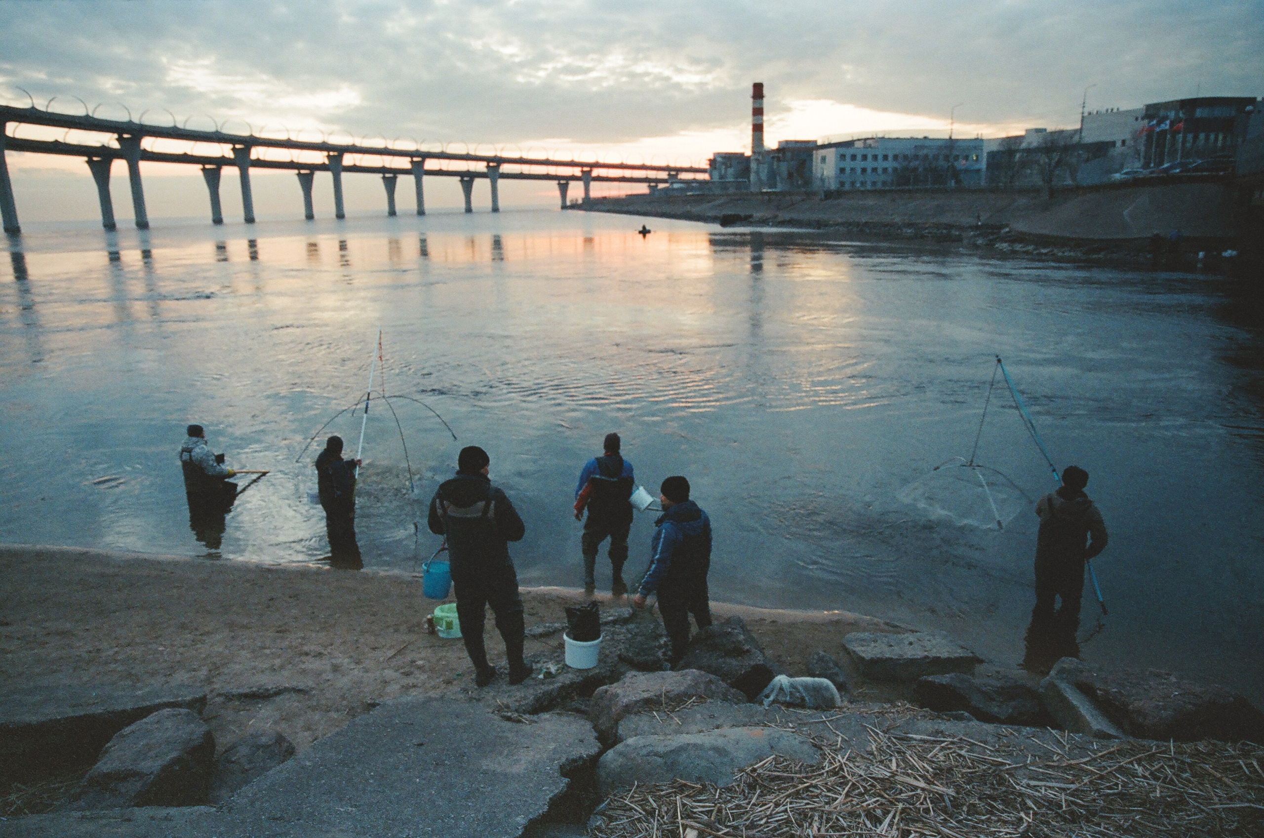 Фотографии цветные. Свадебный и семейный пленочный фотограф в Петербурге Истомина Ирина