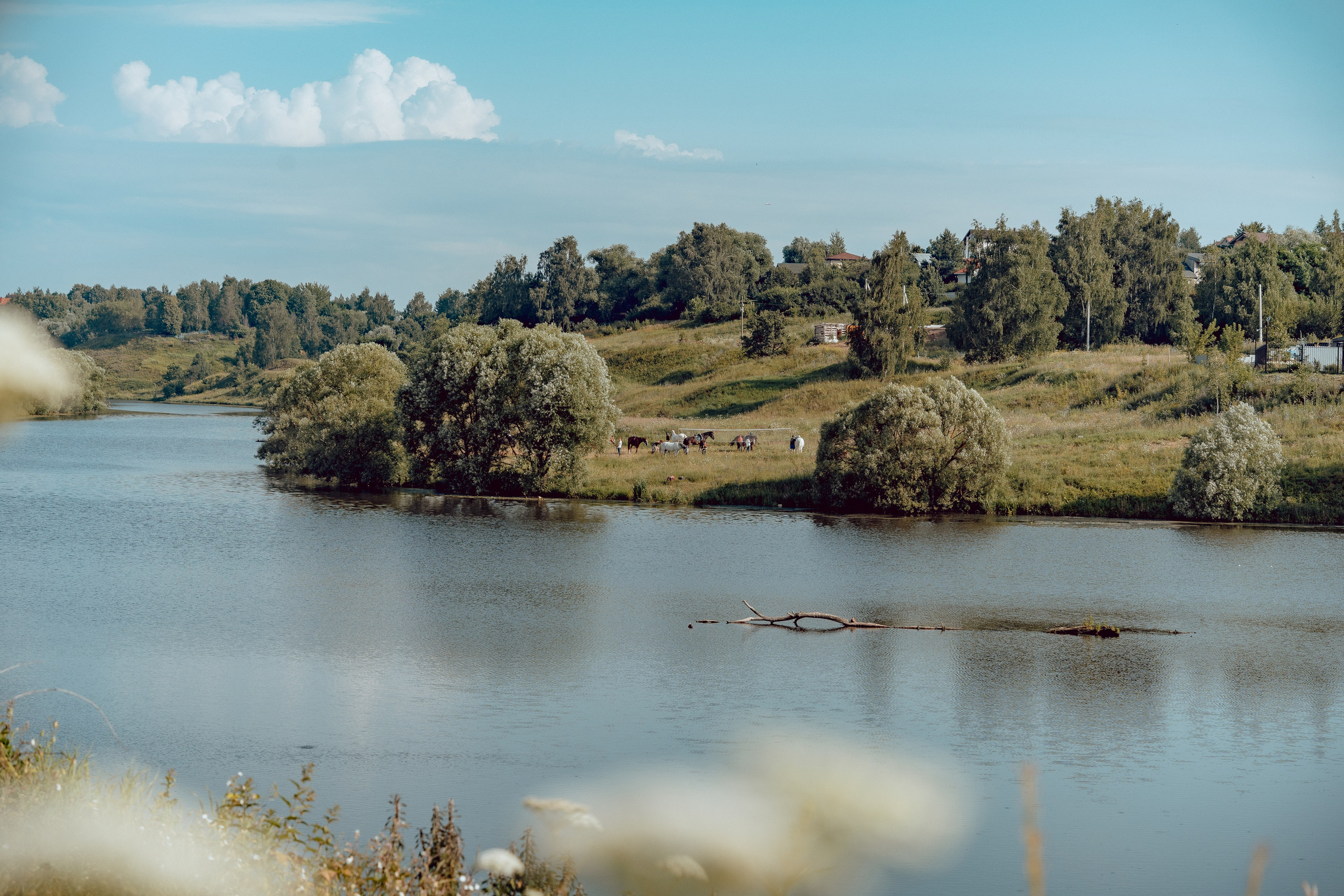 Купание лошадей 05.07.2024. Портретный и семейный фотограф в Москве/Видное