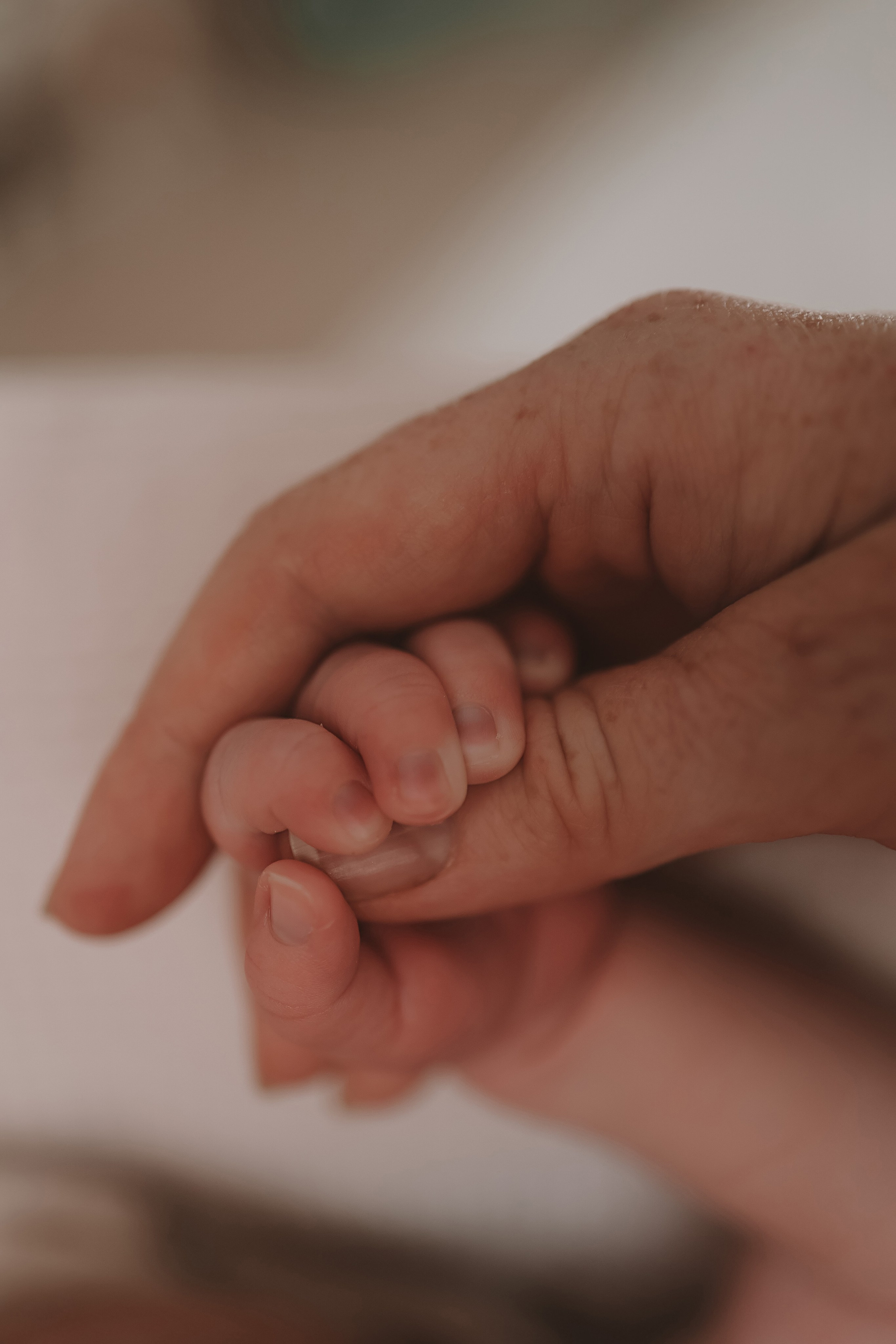 Ефим, 2 недели. Семейный фотограф Тюмень, фотограф на роды Салмина Мария