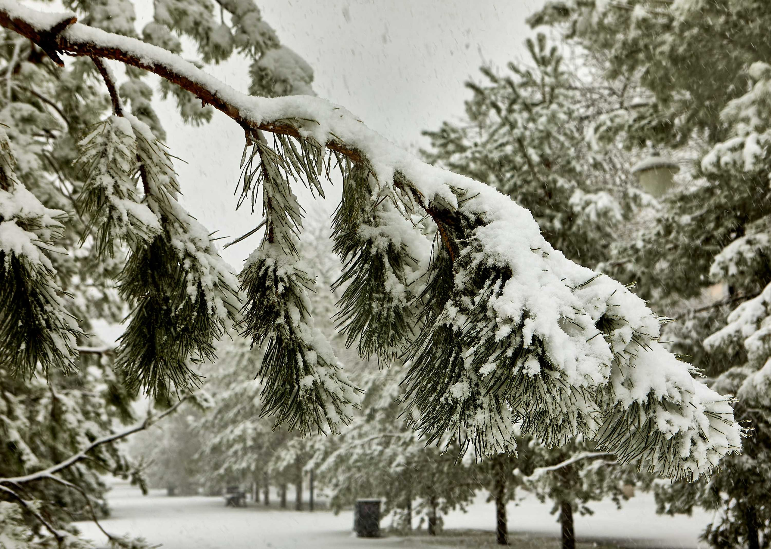 Видовые фото УГНТУ. УГНТУ — Ведущий нефтегазовый вуз России