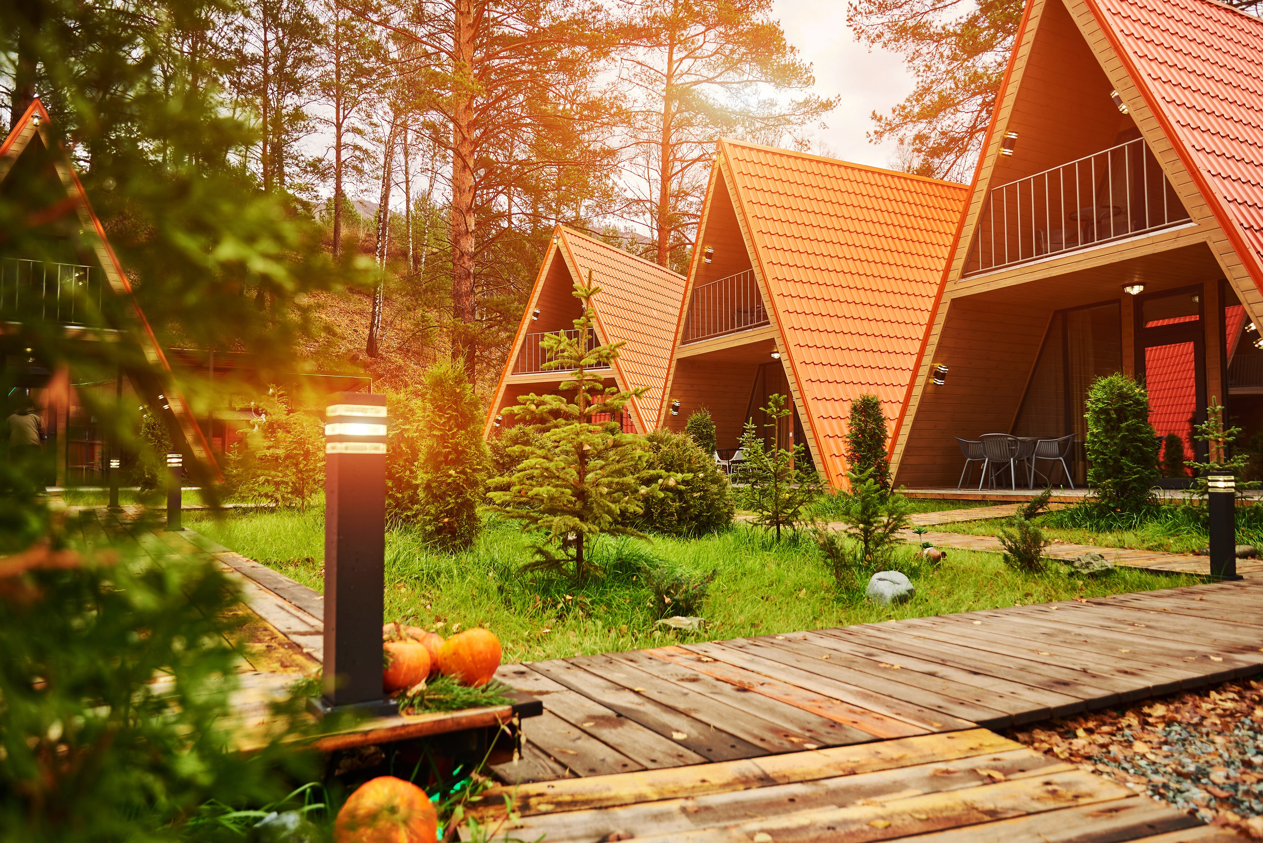 Отель Robin Good. Семейный фотограф в Барнауле, Горный Алтай, Заринск, Алейск