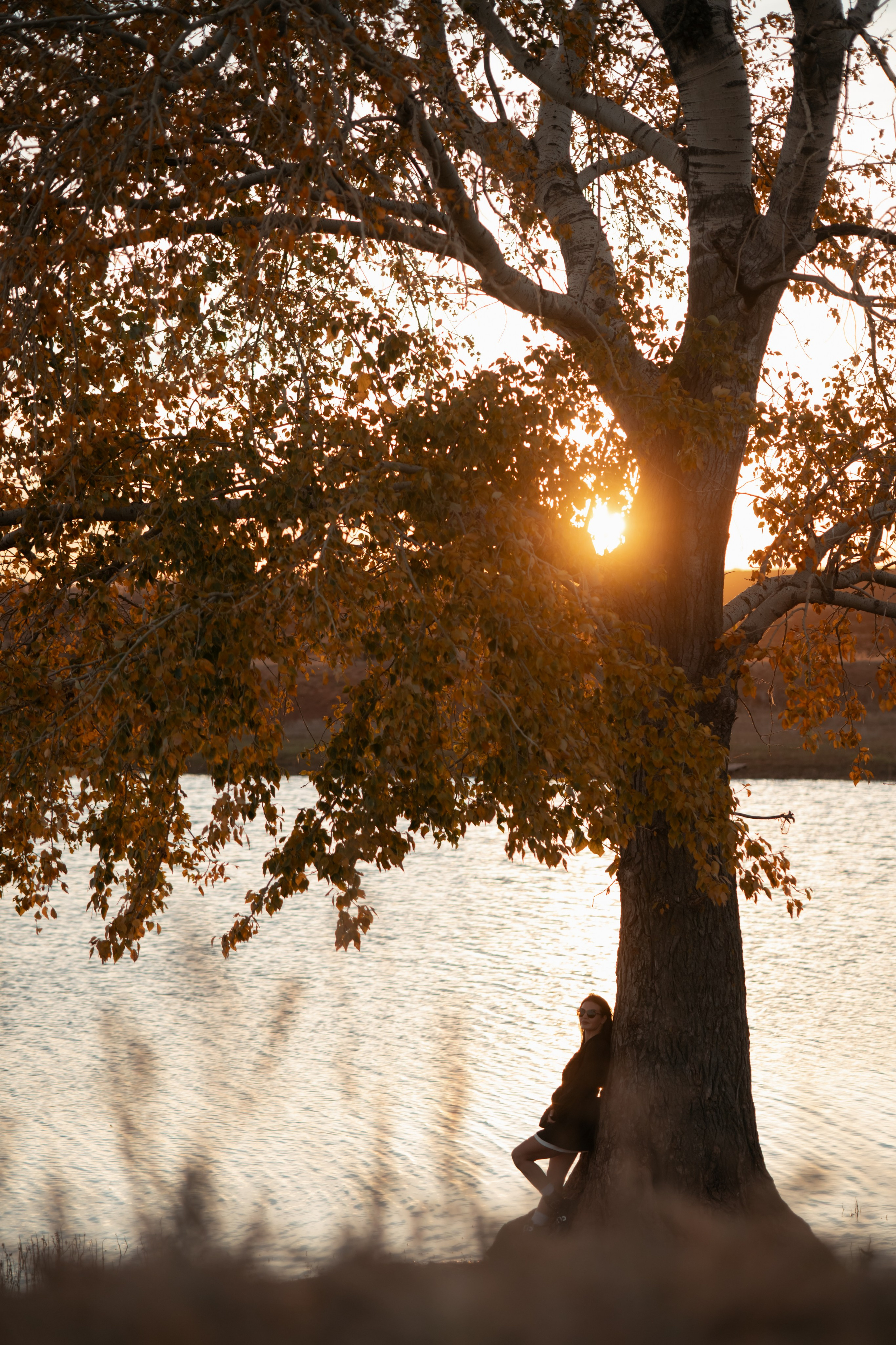 В степи (Женский портрет). Фотограф в Оренбурге Сулеева Ралина