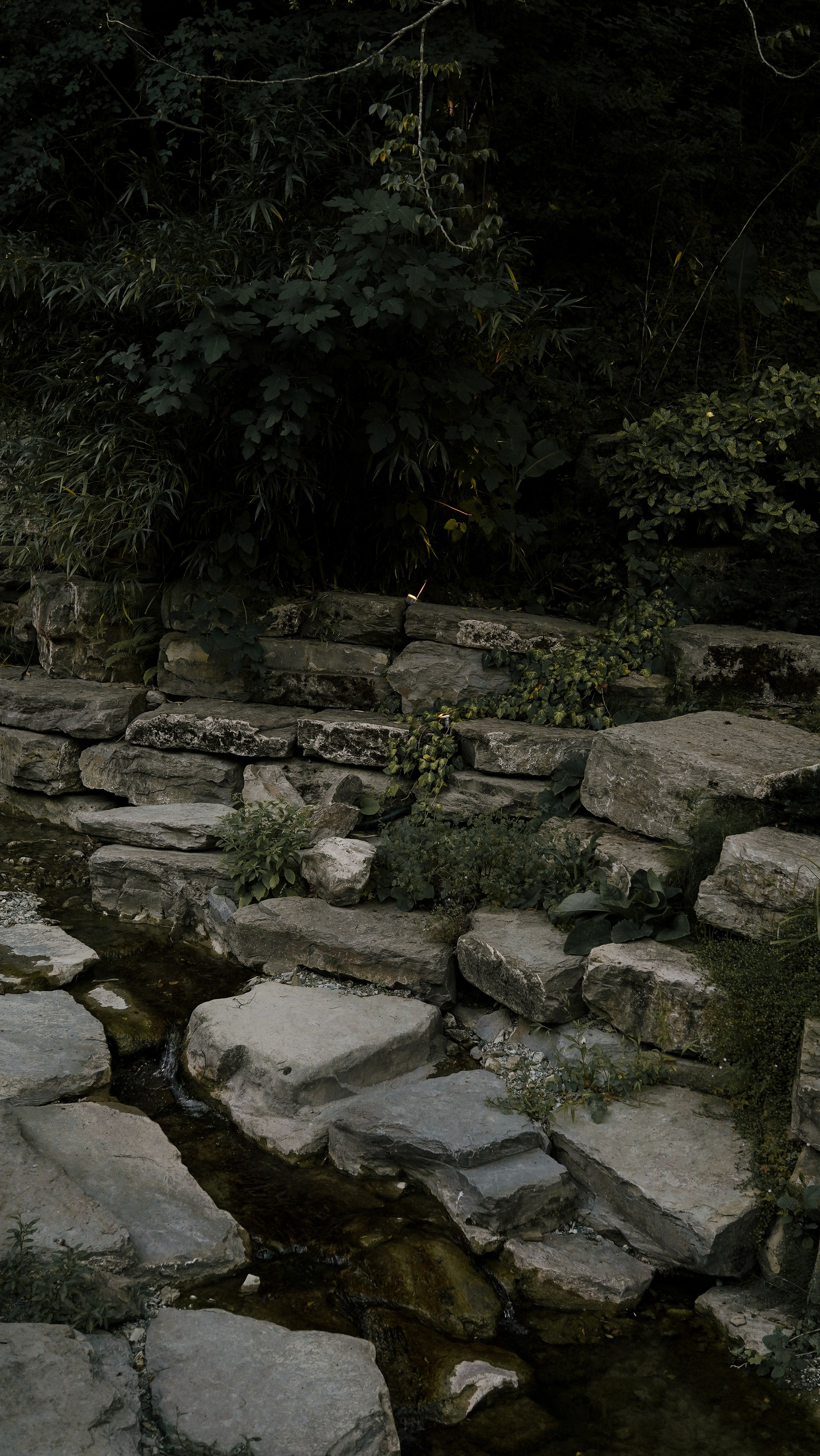 Мамай-Кале — Ресторан в лесу. Милана Довгаль - семейный фотограф и видеограф  в Адлере и Сочи