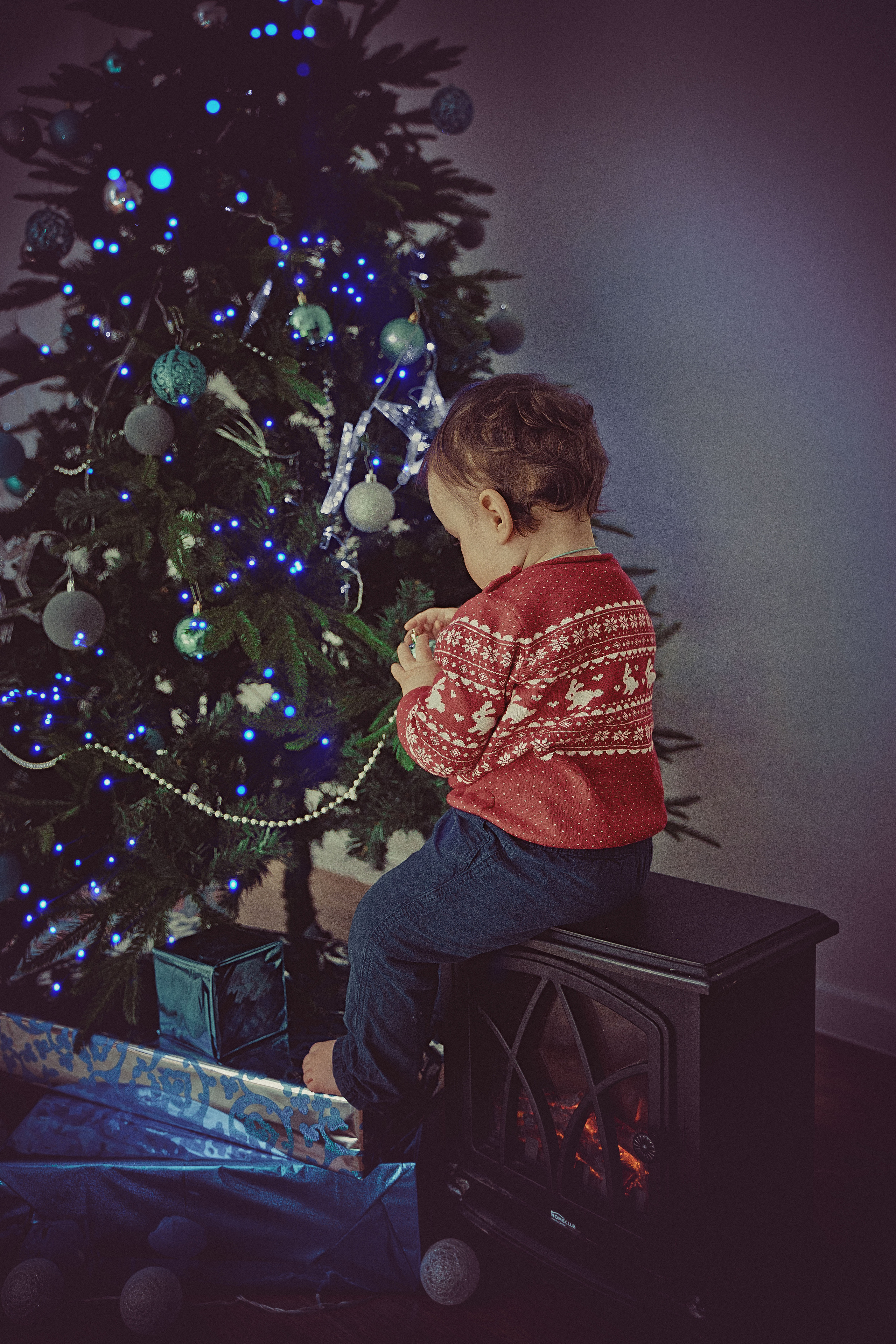 Первая Елка у Мишутки. Свадебный, семейный, детский, женский фотограф в Москве Дина Мажейка