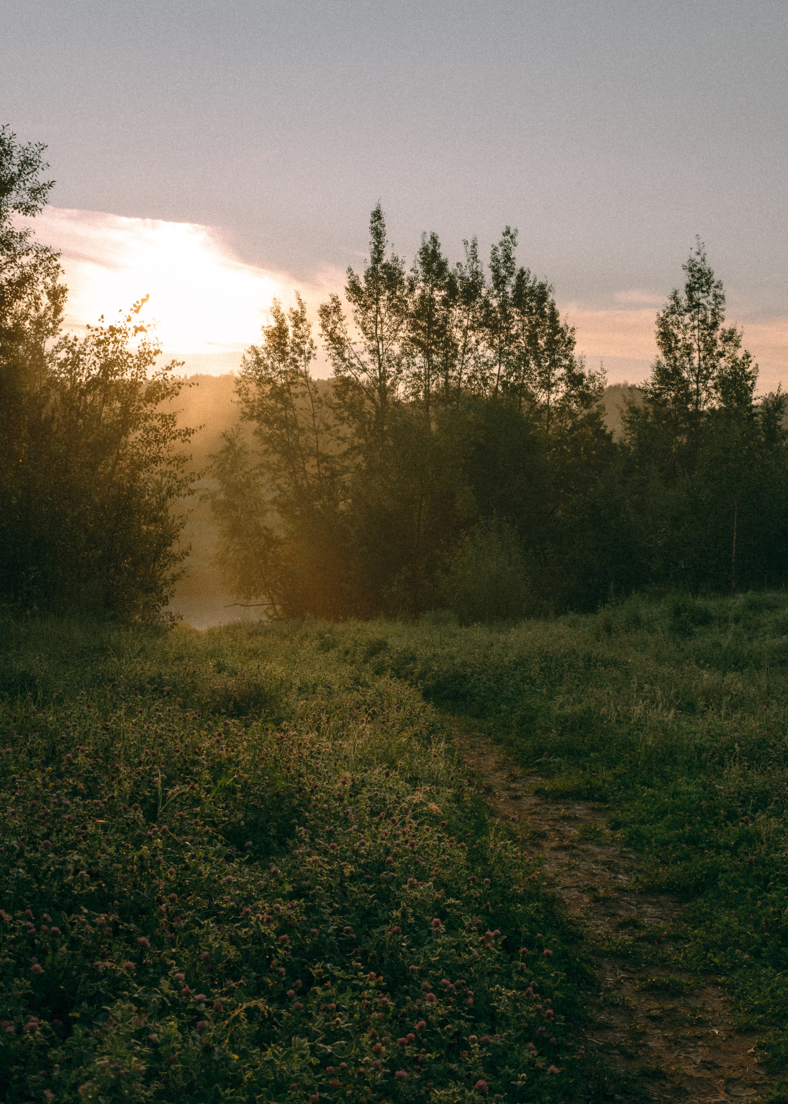 Оксана, Кирилл и Кеша. Фотограф-анималист Ксения Воробьева, Москва