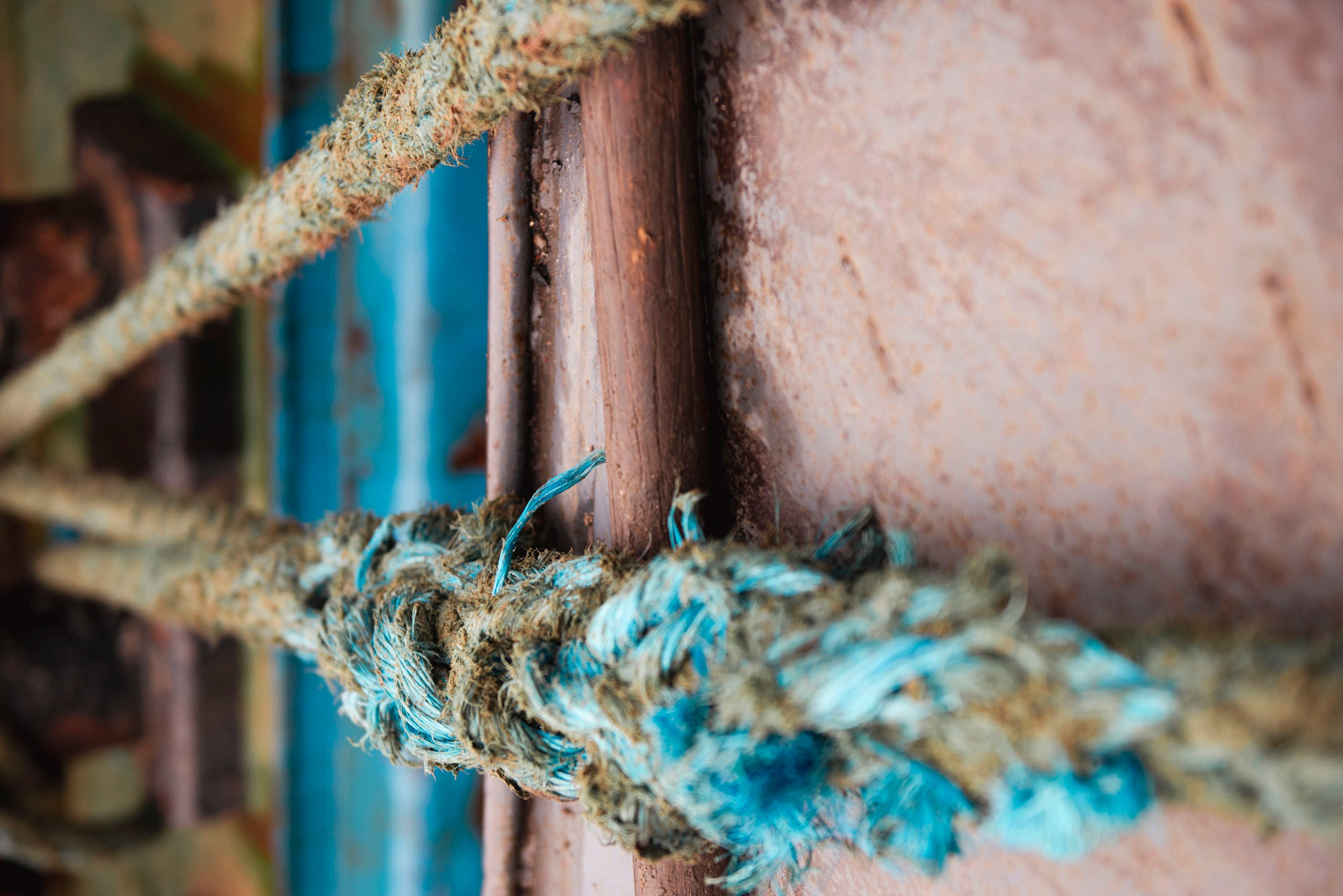 Визуальный мир