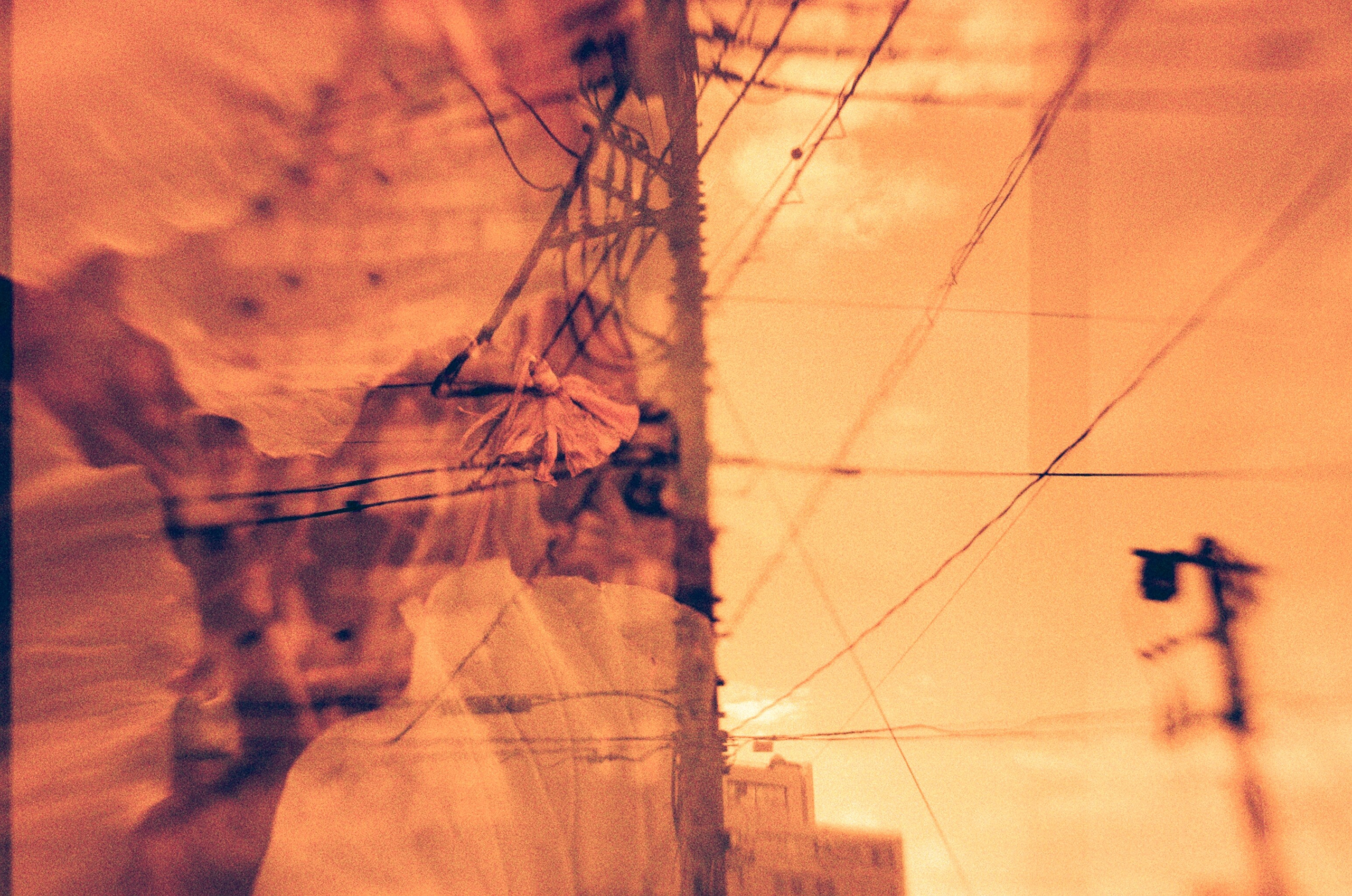 JAPAN FILM. International visual artist