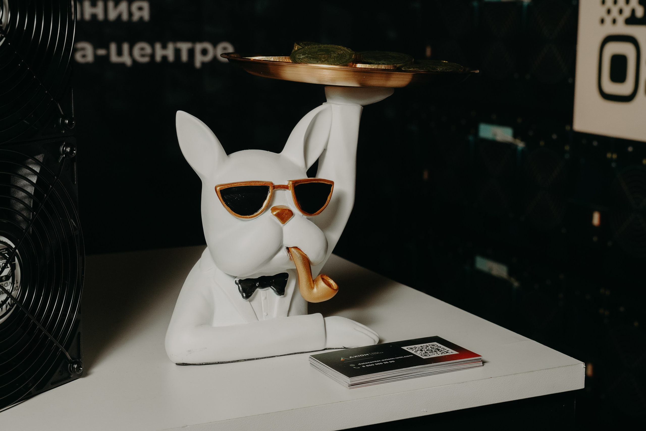 CRYPTO SUMMIT 2024. Фото | Видео Контент Мишель Ватаманюк