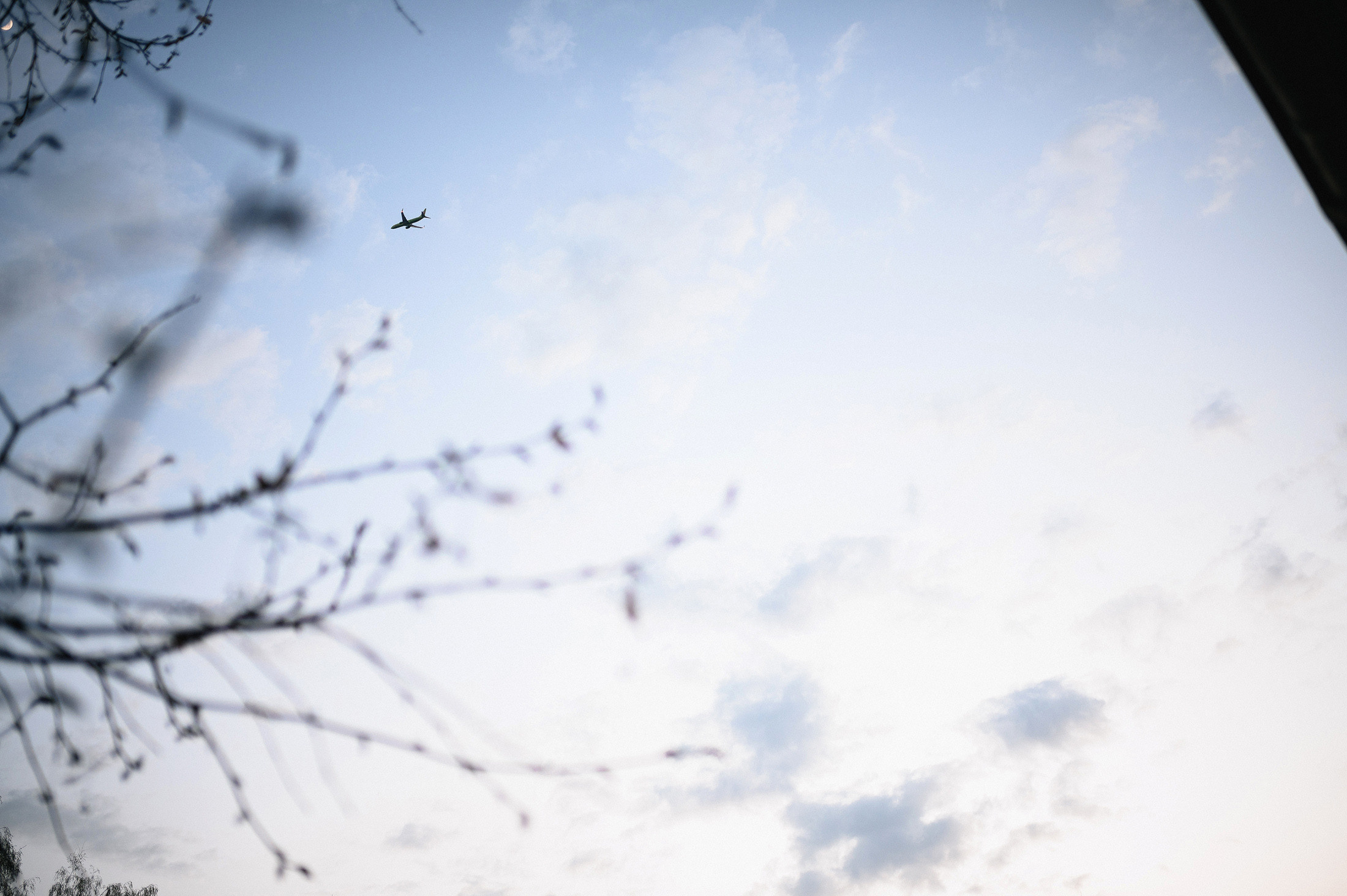 Андрей & Даша. Свадебный фотограф в Кирове Старостин Павел