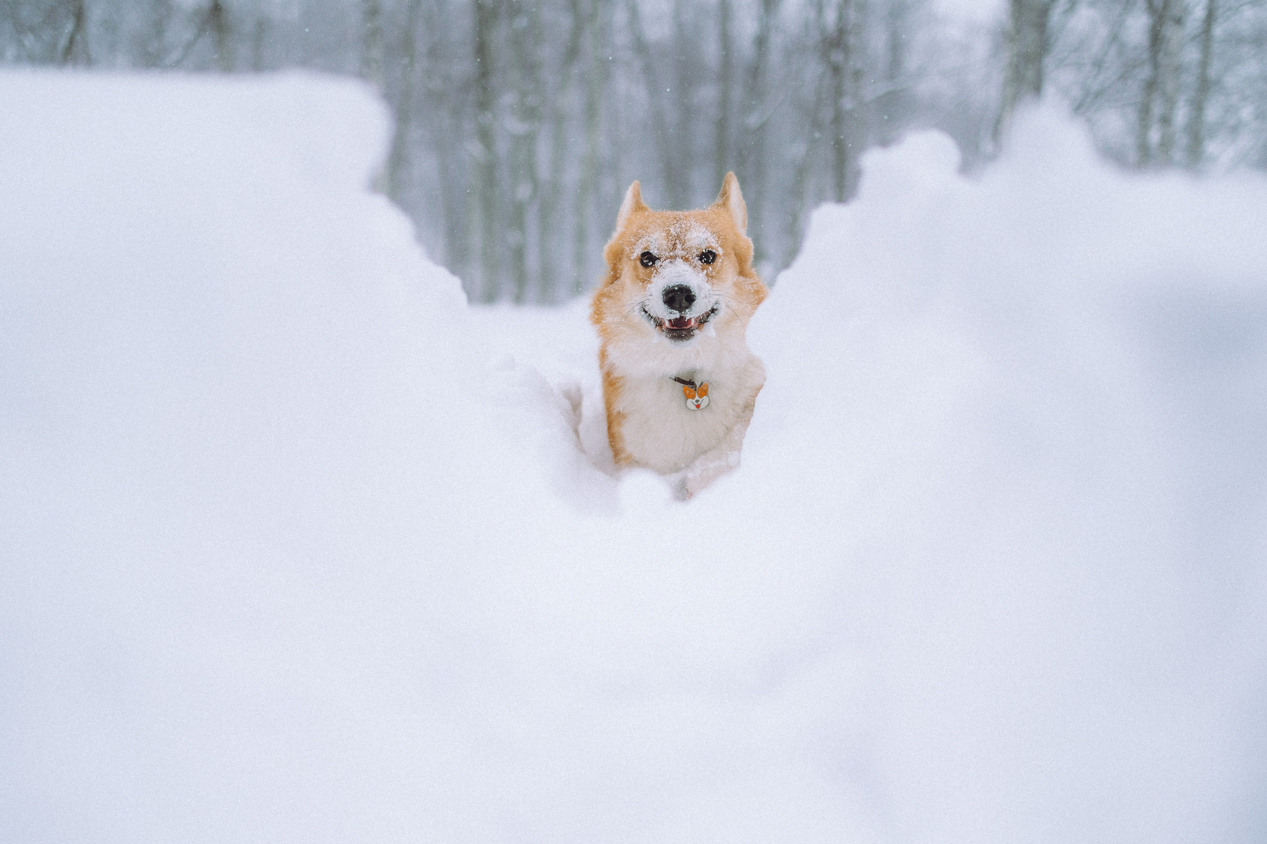 Юля и Юпитер