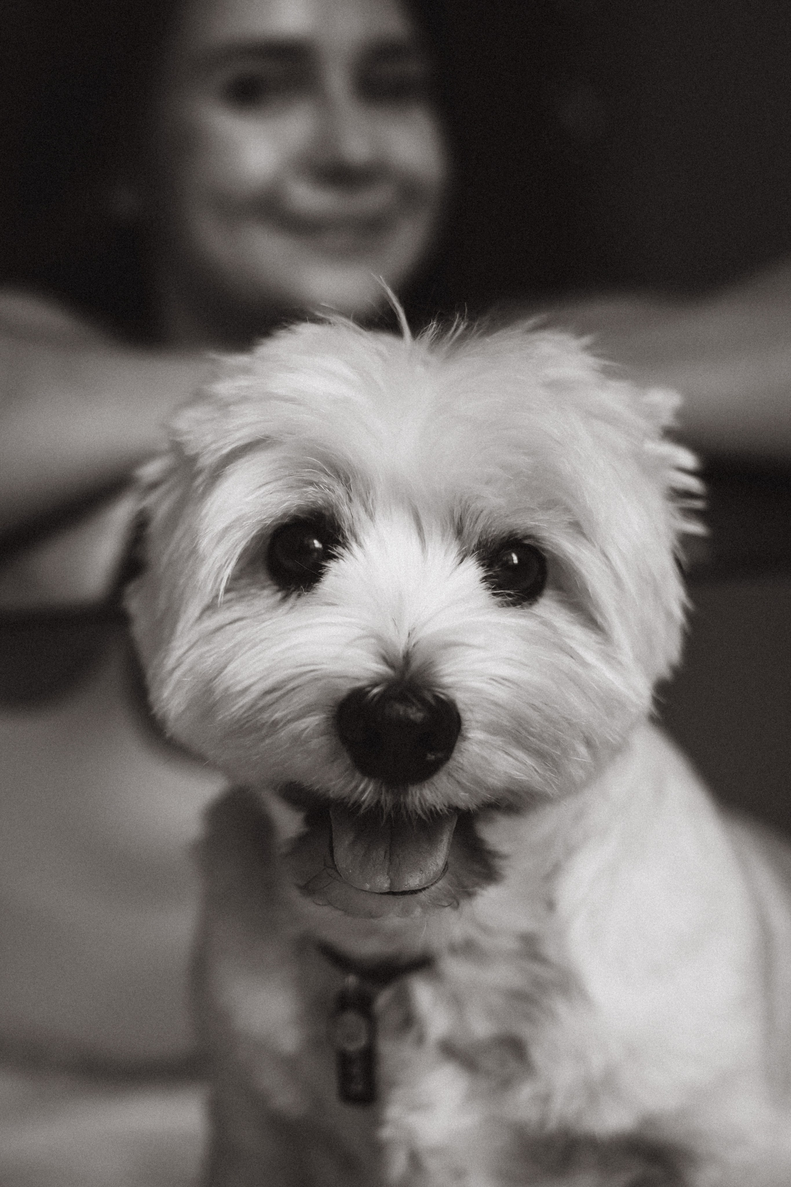 Вера и Бакс