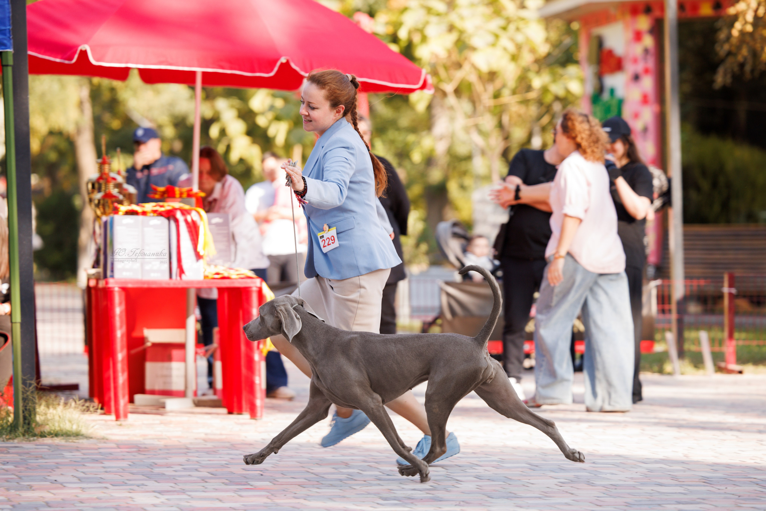 Ташкент 3хCACIB 3-5.10.2025. Фотограф-анималист Юлия Германика