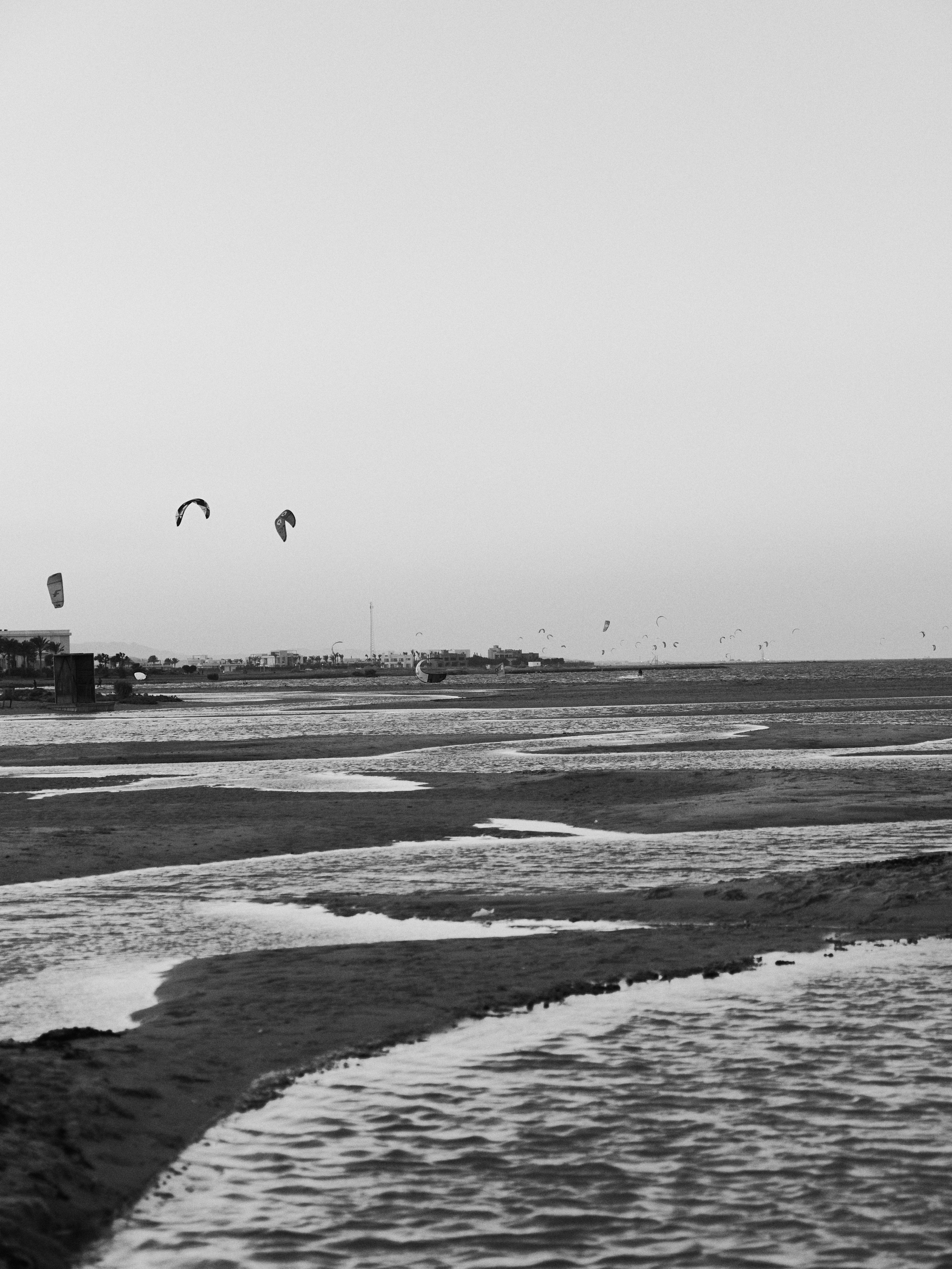 Другое 3. Jorgis — фотограф в Хургаде / обучение фотографии