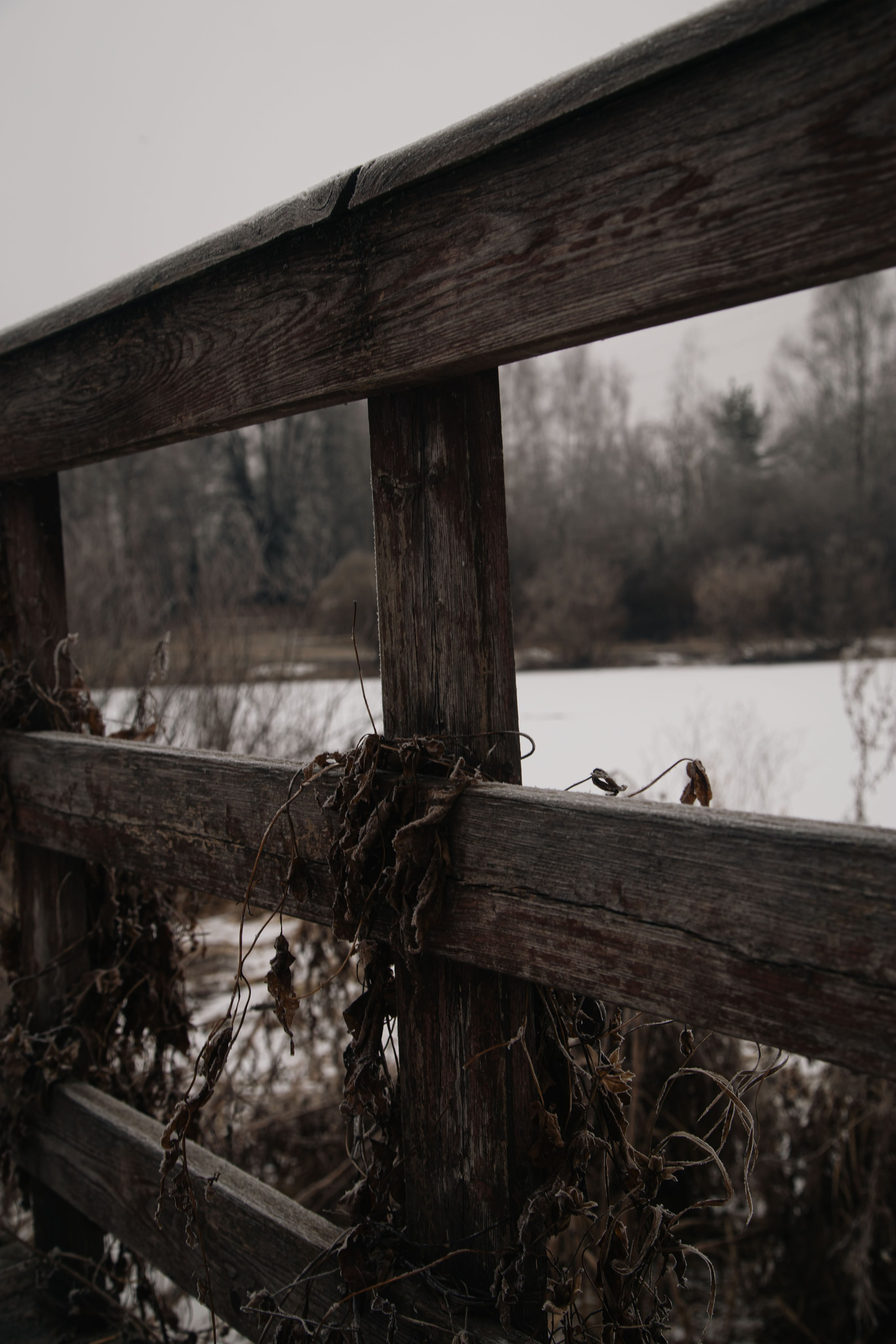 Воздух февраля. Dmitriy [KCCC] is a pretty cool photographer