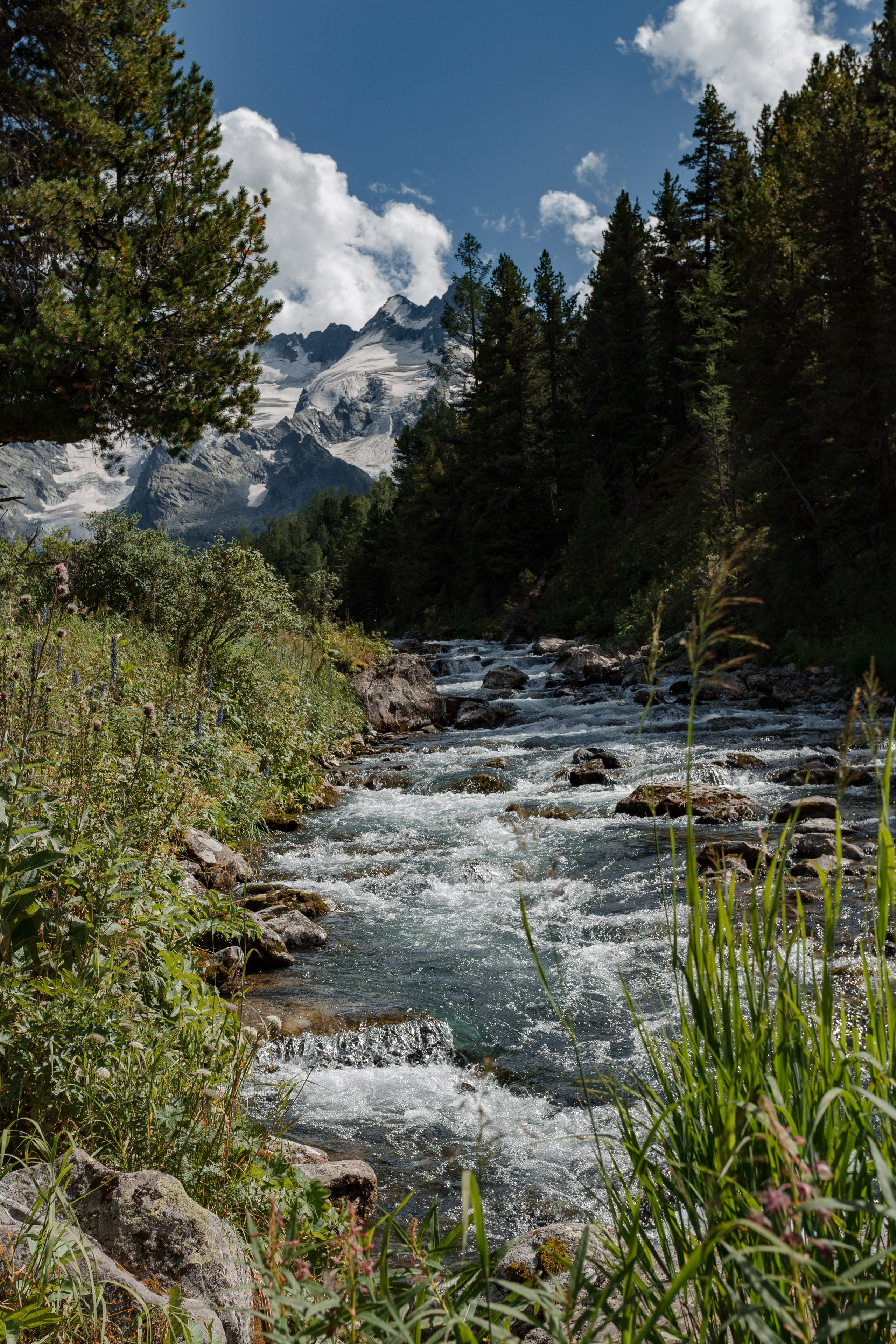 Катунский заповедник, Республика Алтай. Репортажный фотограф в Крыму Ксения Гасица
