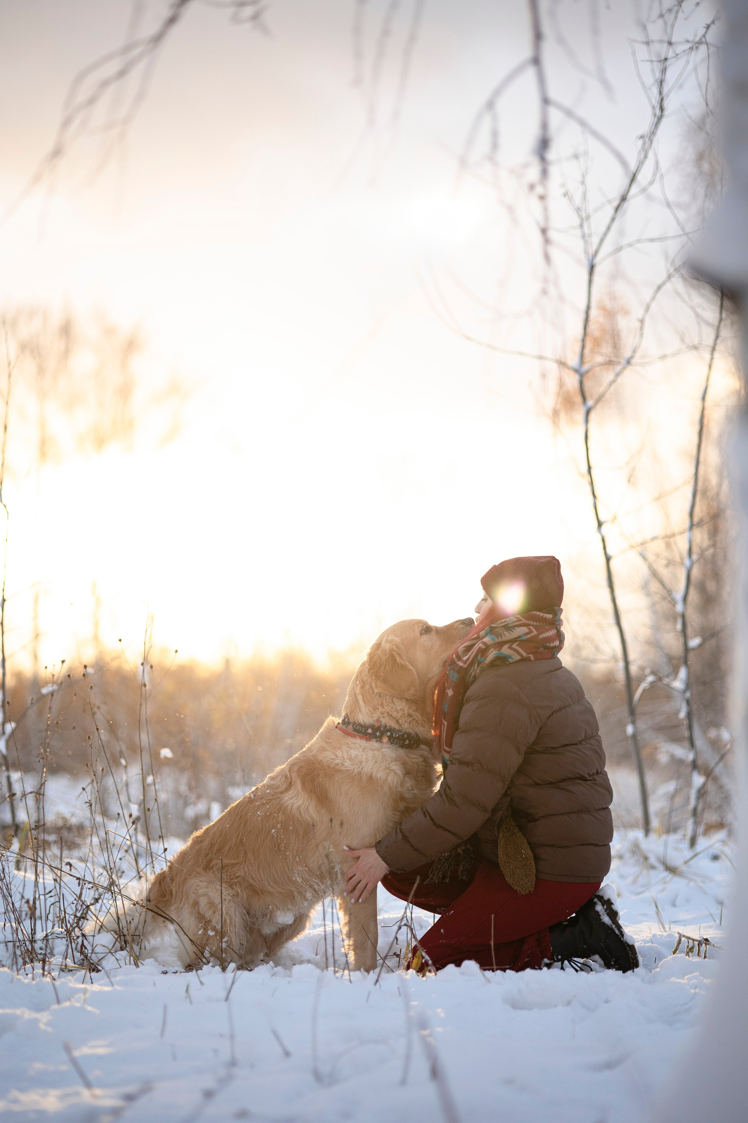 Съемка с собакой. Анастасия Белаш