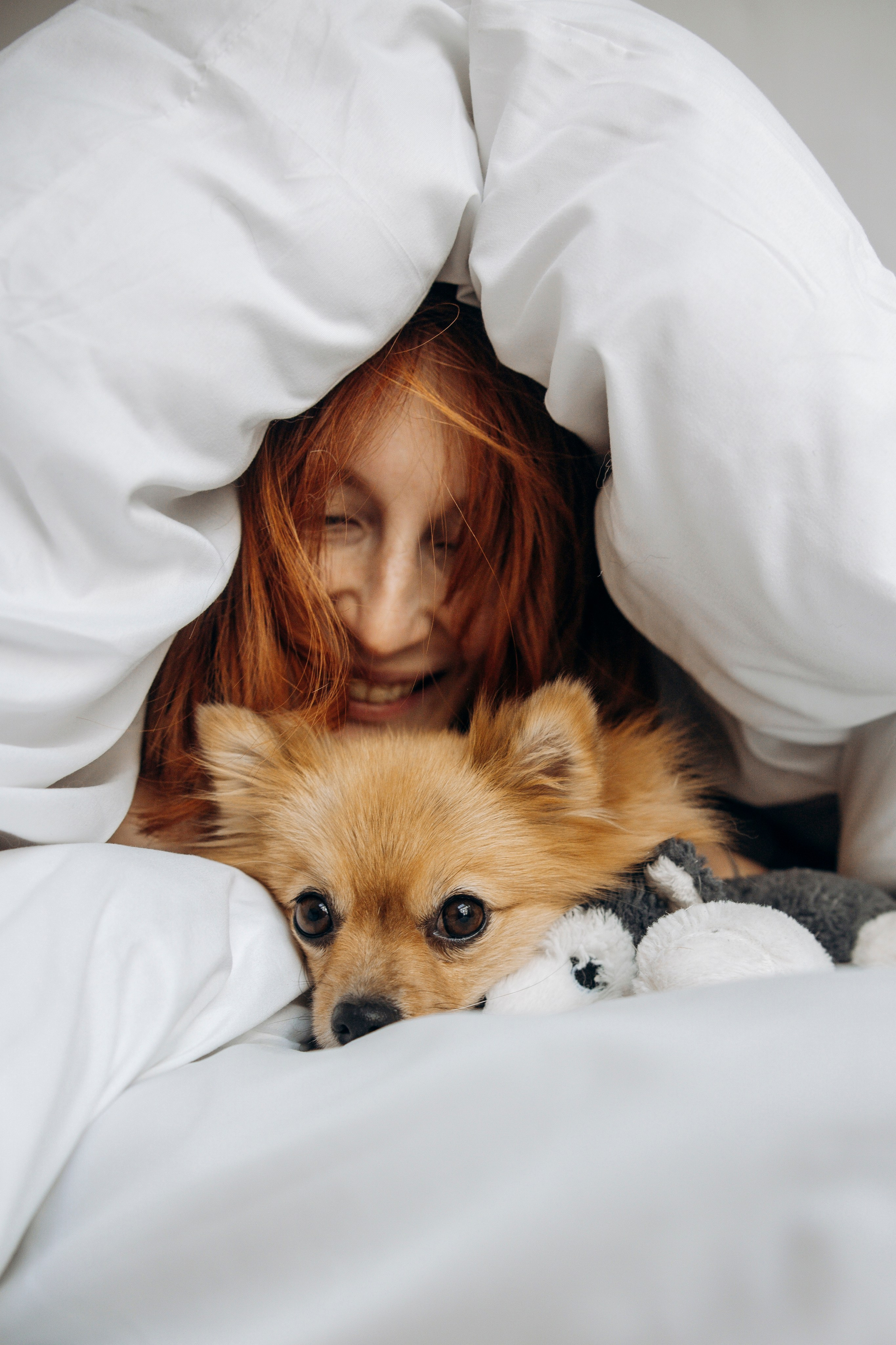 Съемка в студии с собакой. Анастасия Белаш