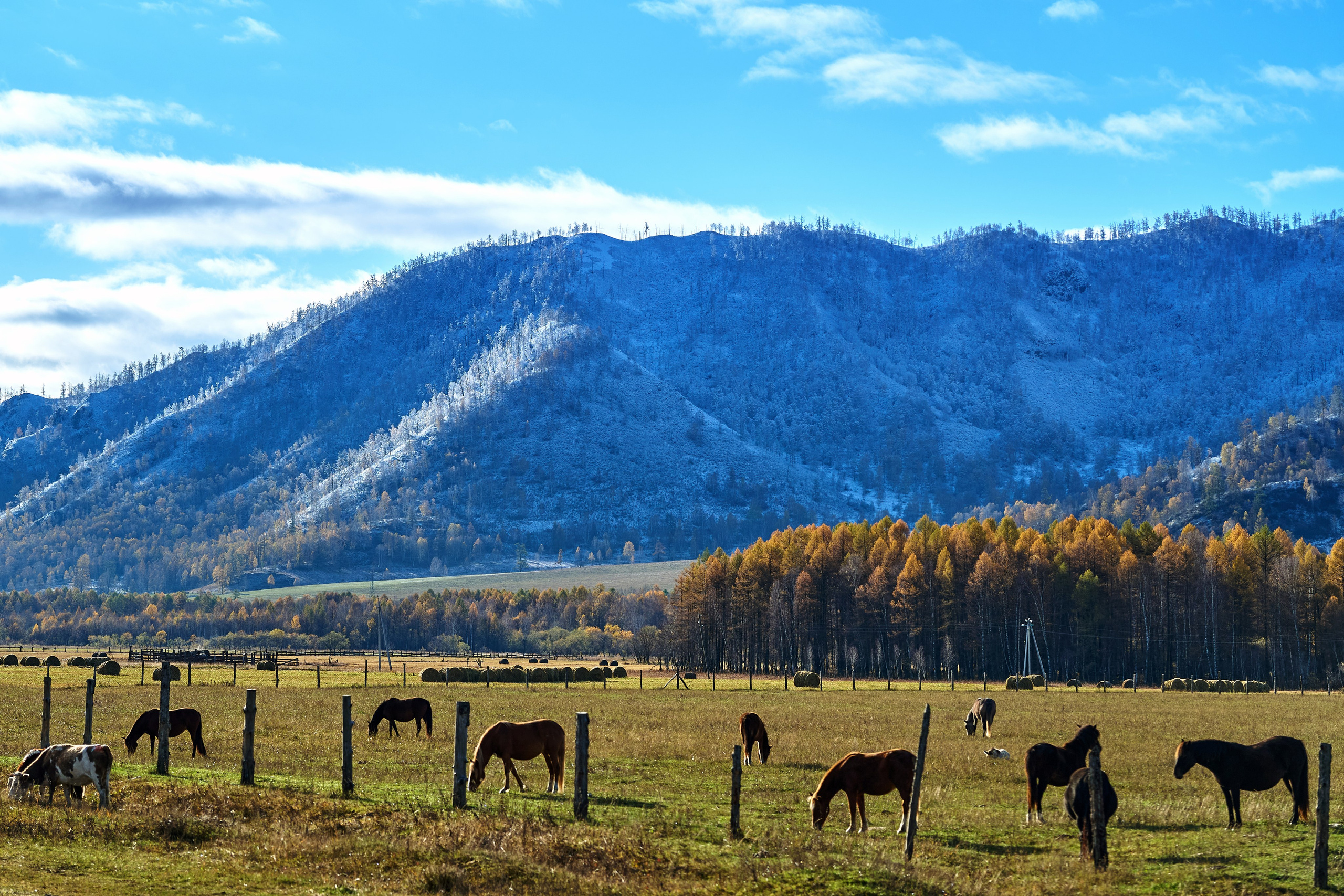Пейзажный фотограф в Горном Алтае: съёмки природы и гор. Фотограф Опыт Качество Скорость Горный Алтай Барнаул