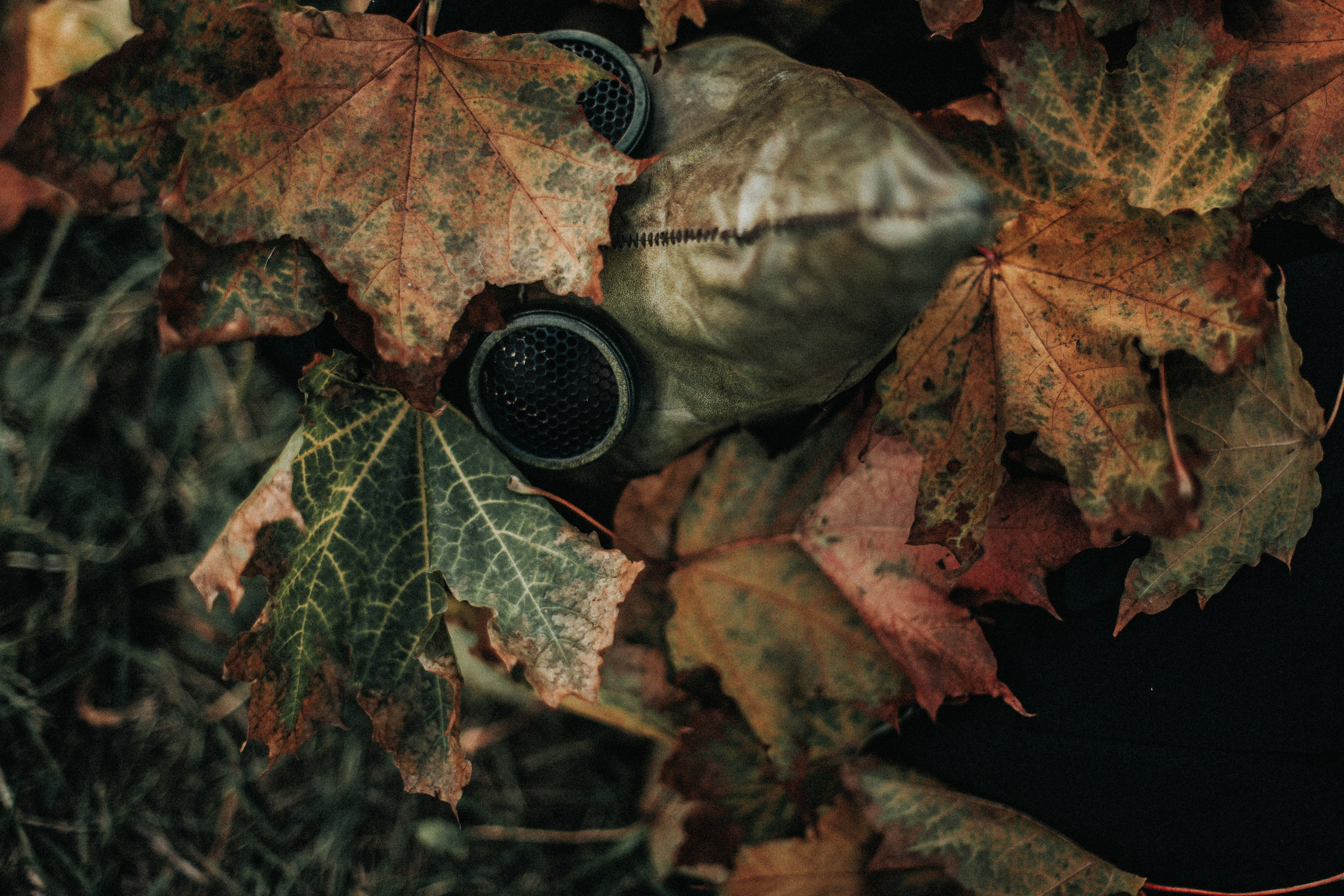 Яна. Чумной доктор. Фотограф в Нижнем Новгороде