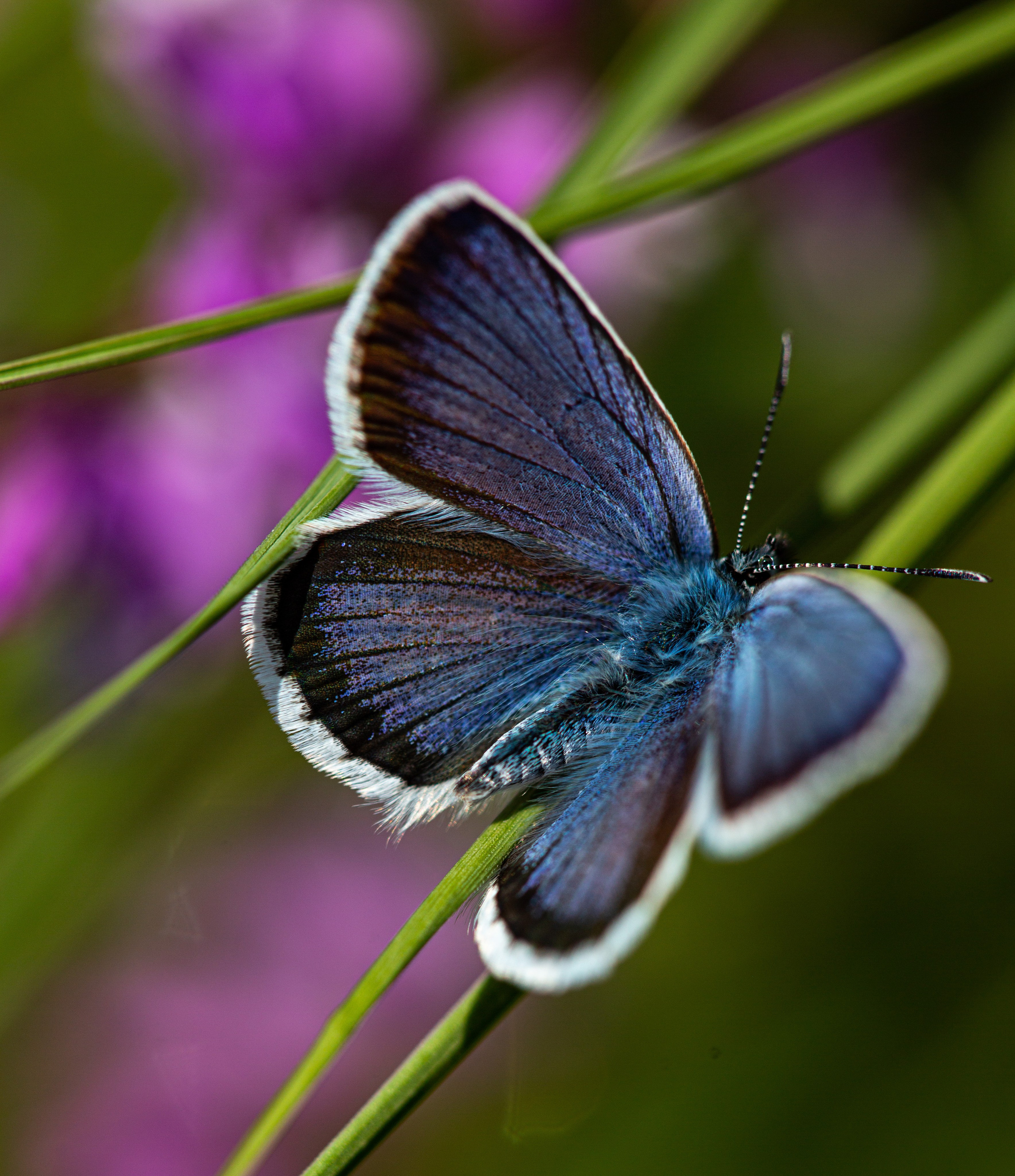 Россия. Северный Кавказ. Добродеева Алла фотограф, Москва