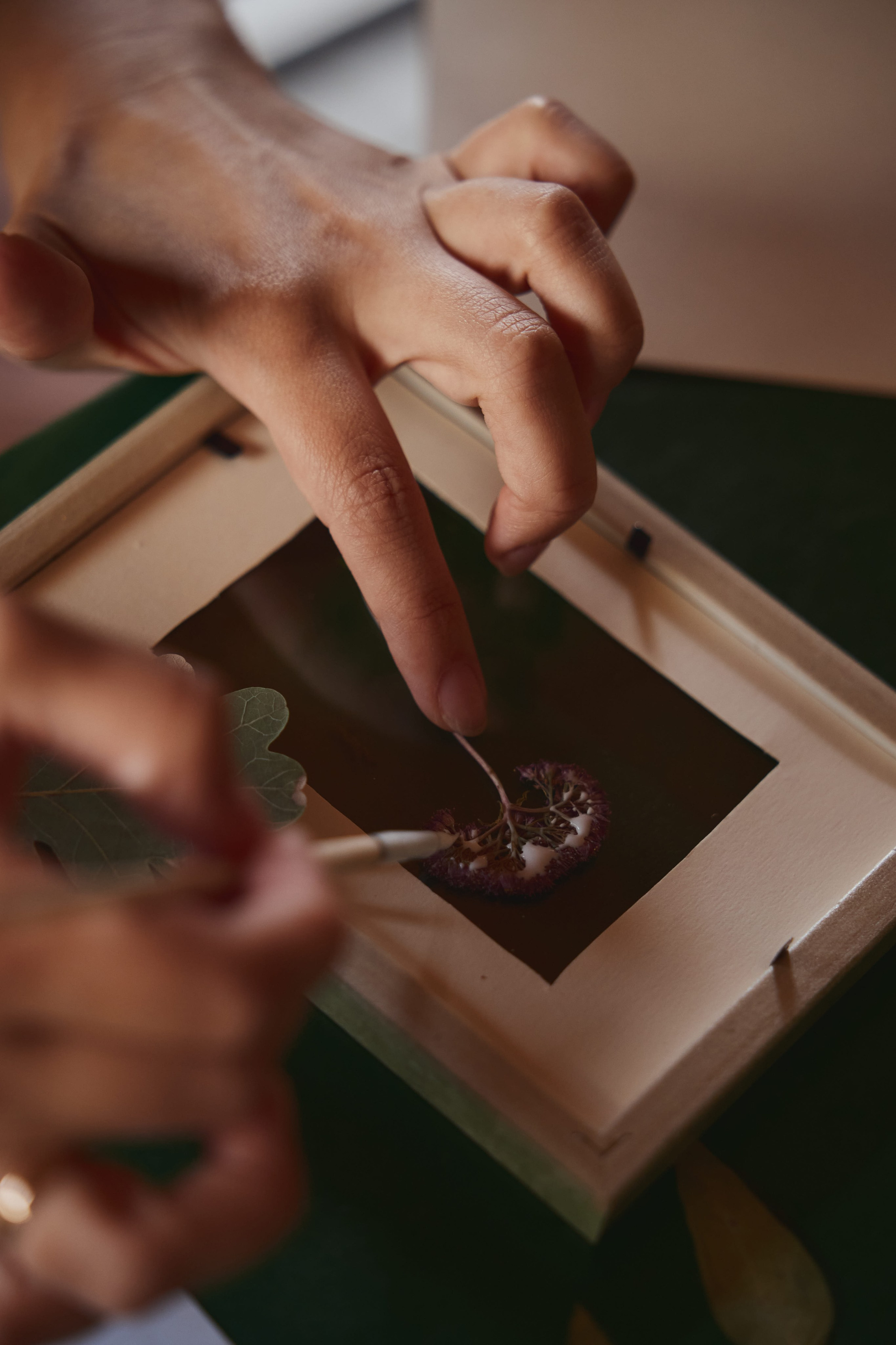 Искусство гербария. Фотограф и видеограф в Кургане Леонид Корнильев