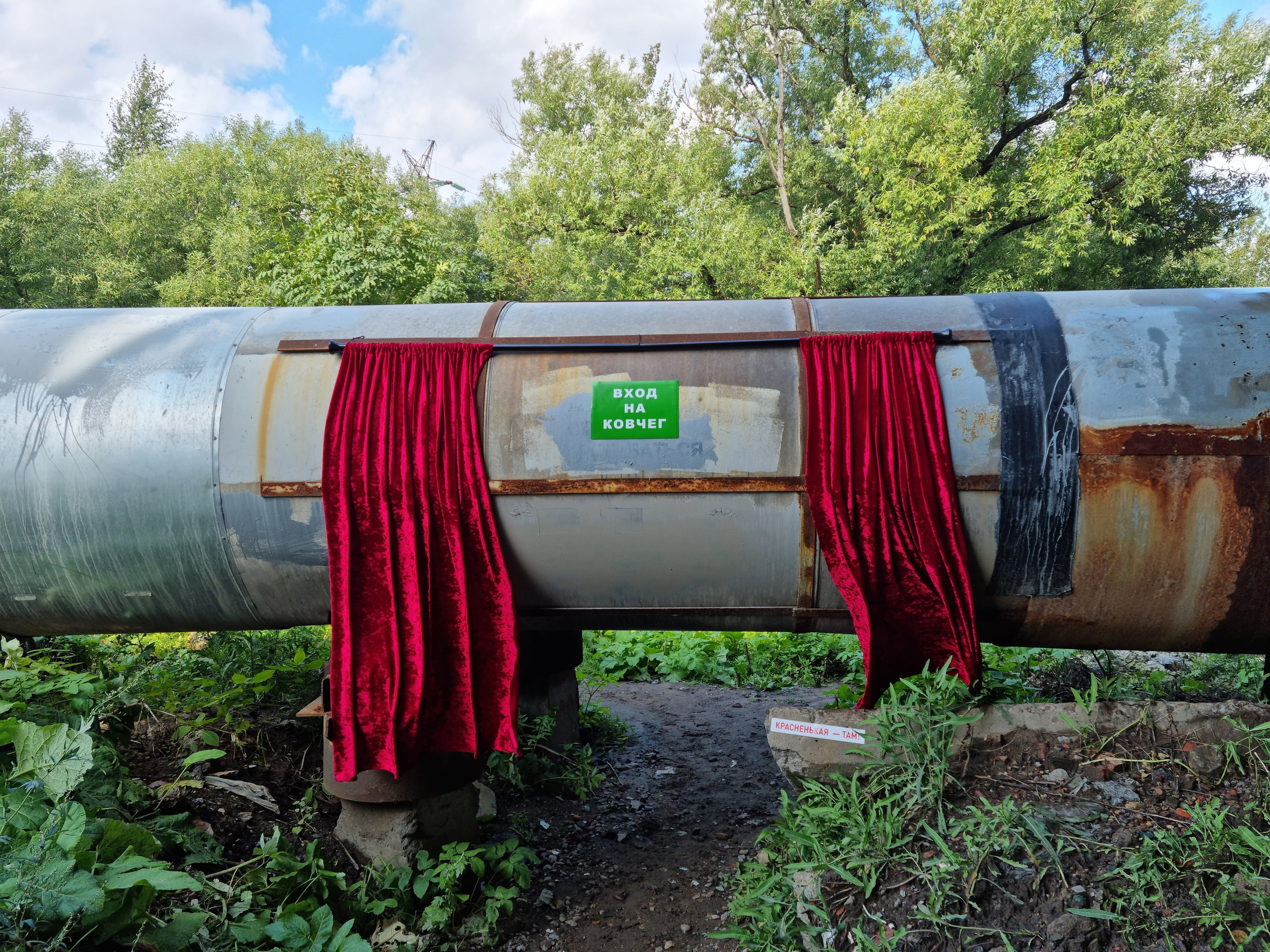 Вошедшие в ковчег. Ангелина Богданова, междисциплинарная художница