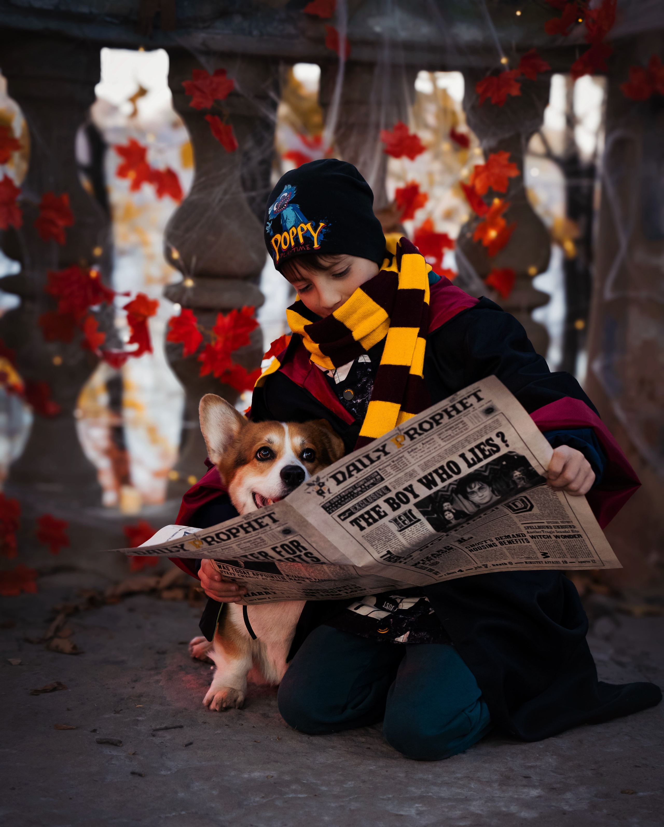 Хэллоуин. Семейный фотограф анималист г. Находка