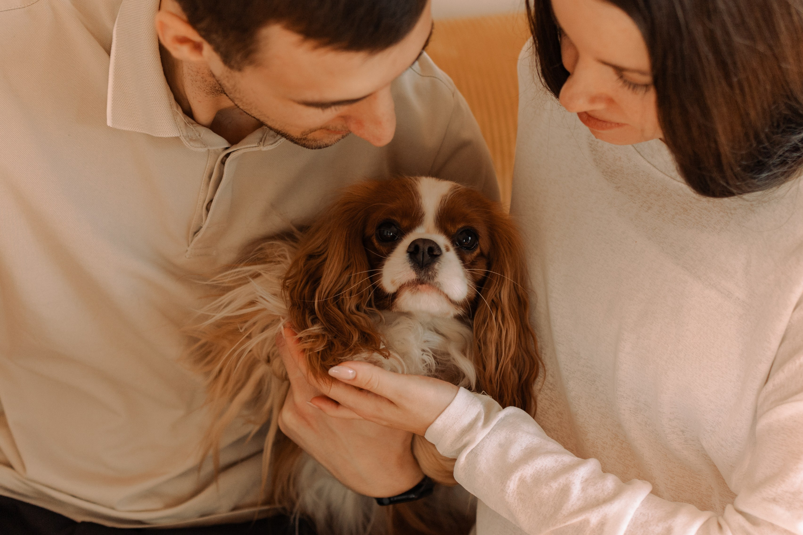 Шерри и ее семья. Фотограф — Анималист | Санкт-Петербург