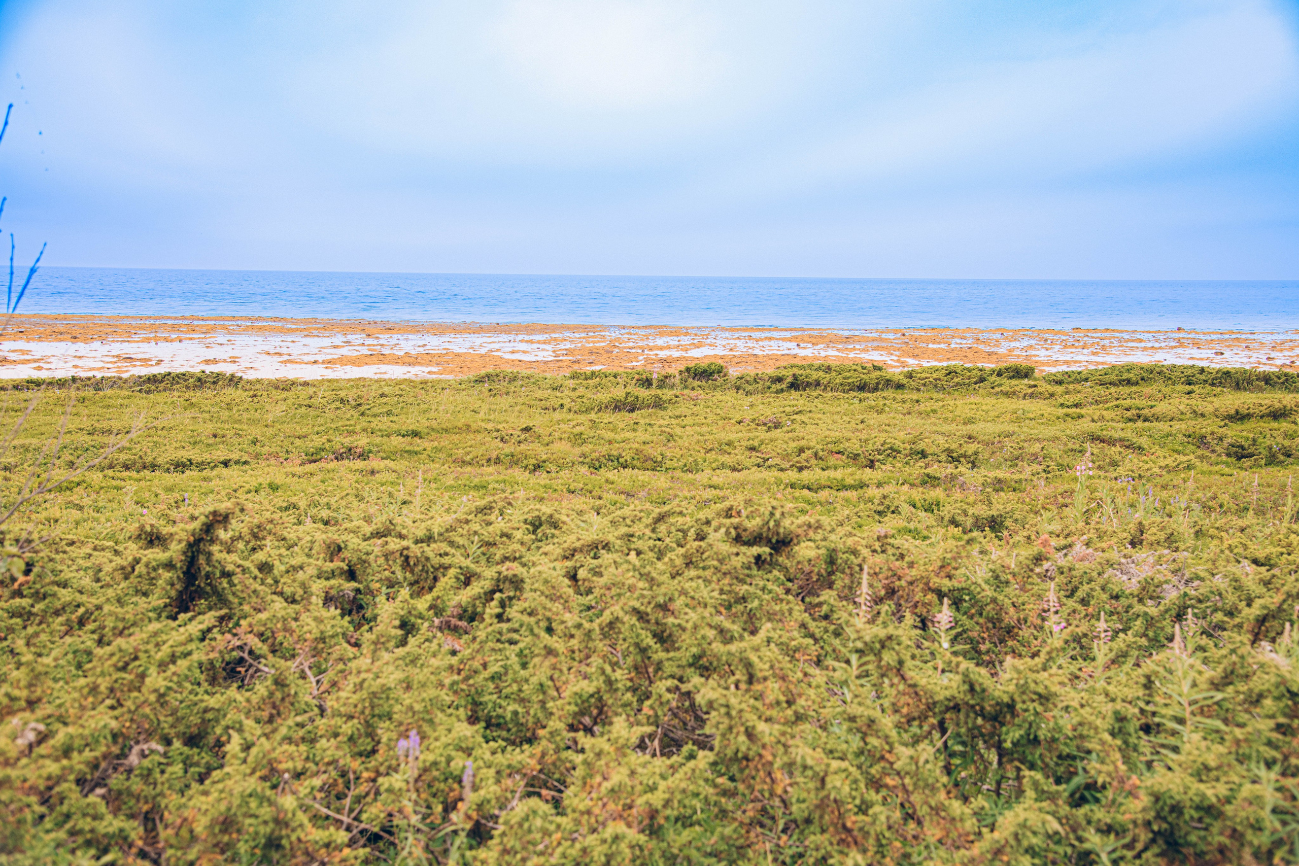 Кольский полуостров. Фотографирую для себя, своей семьи и друзей!