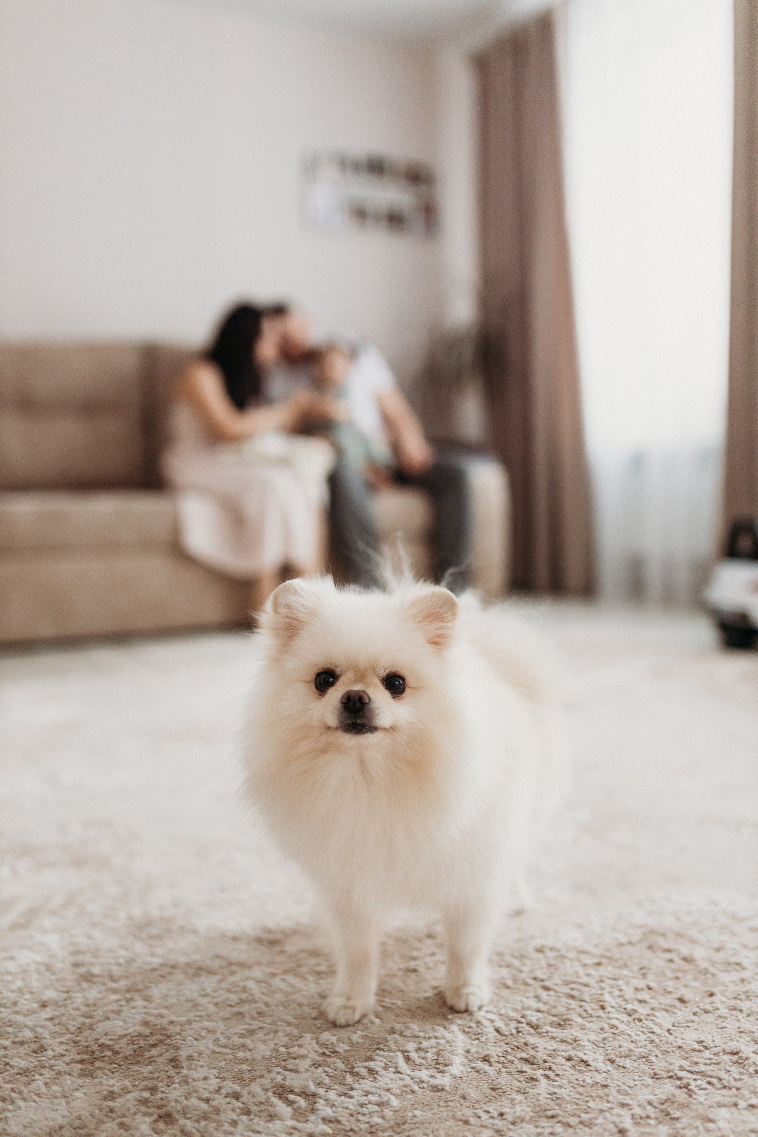 Домашняя фотосессия День Рождения Василисы. Фотограф Тверь. Свадебные, семейные, индивидуальные фотосессии