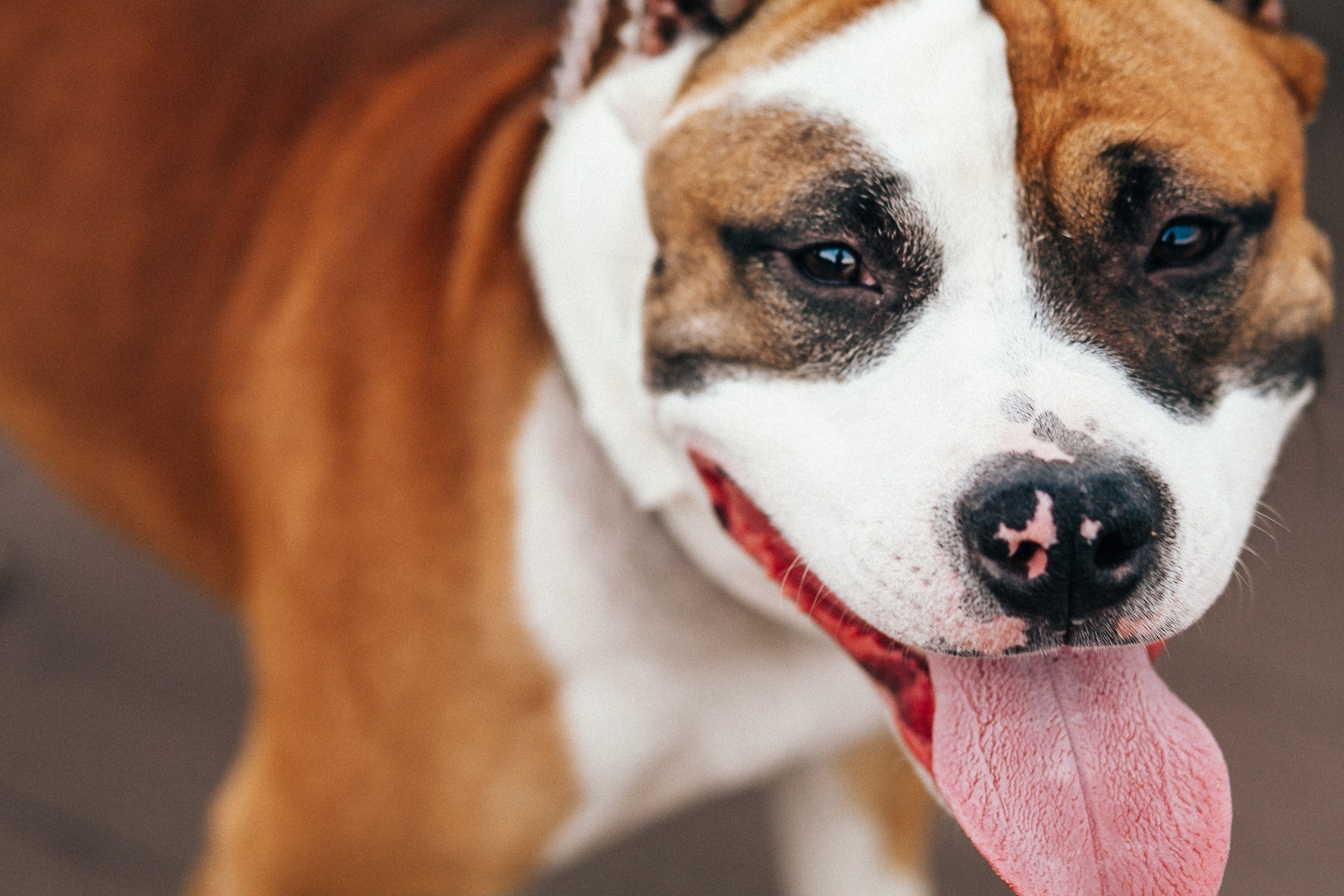 Ксюша и Юра. Фотограф Дарья Локотко в Красноярске