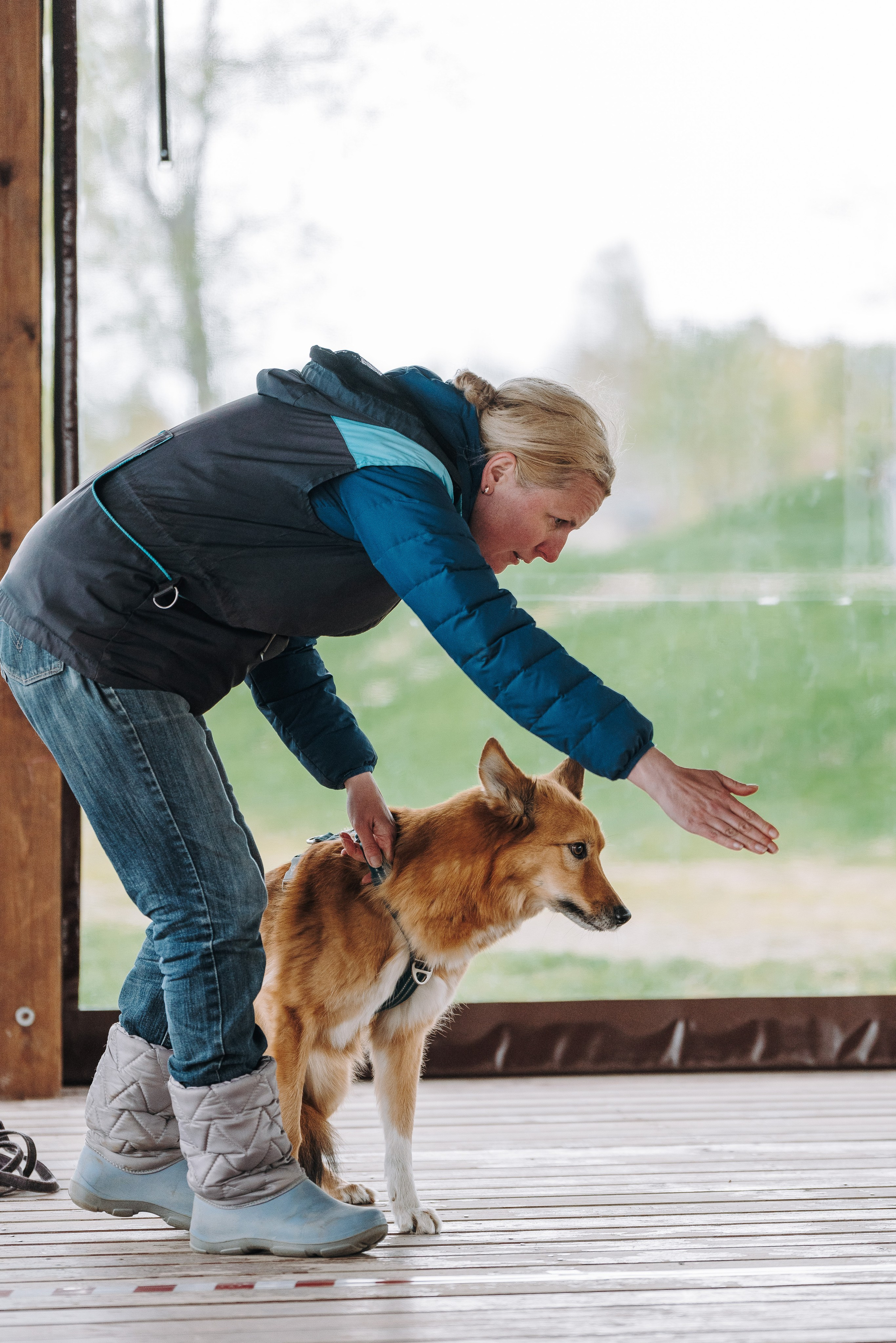 Соревнования по ноузворку в Лосево. Фотограф анималист в Спб недорого Олеся Майорова