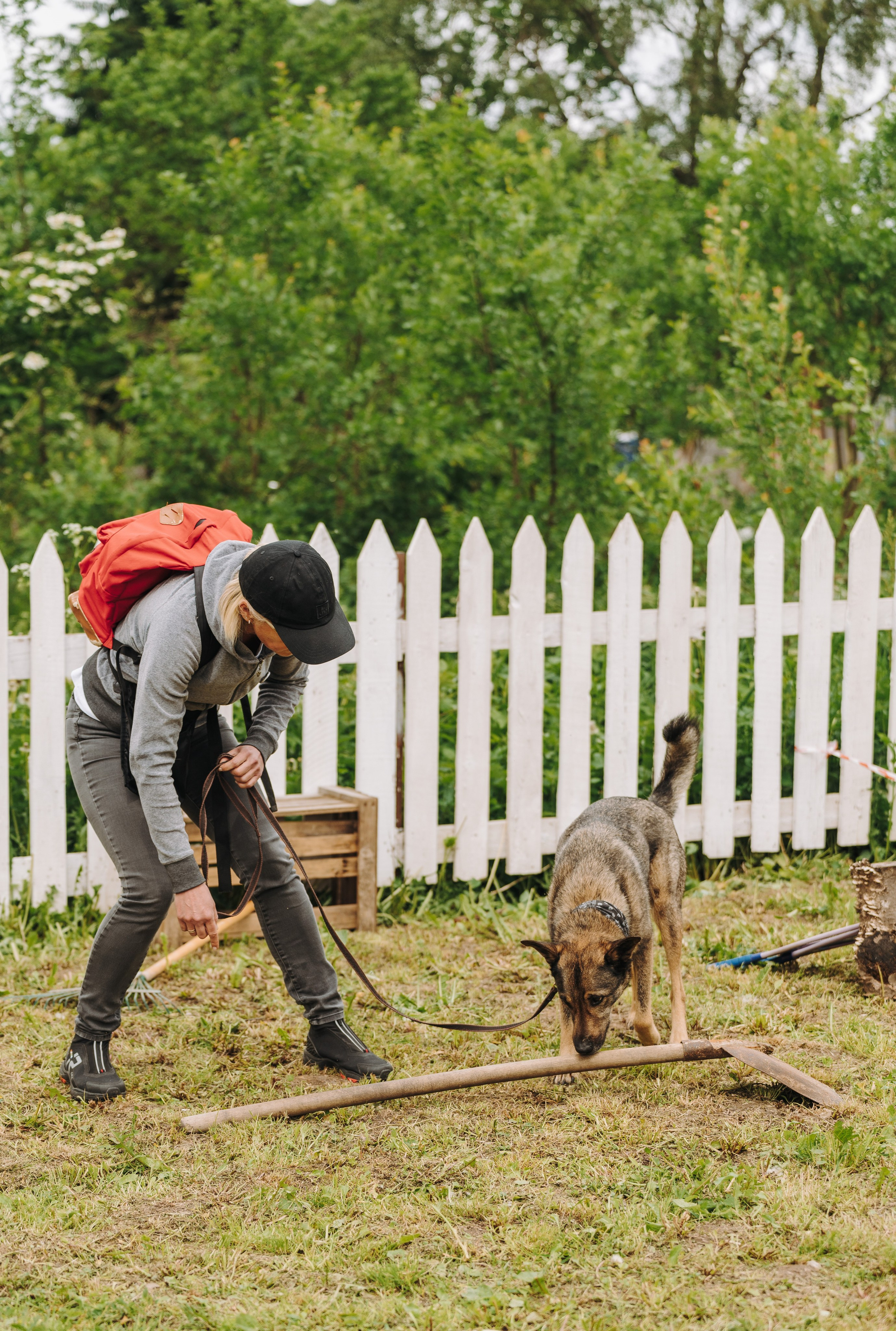 Соревнования по ноузворку. Фотограф анималист в Спб недорого Олеся Майорова