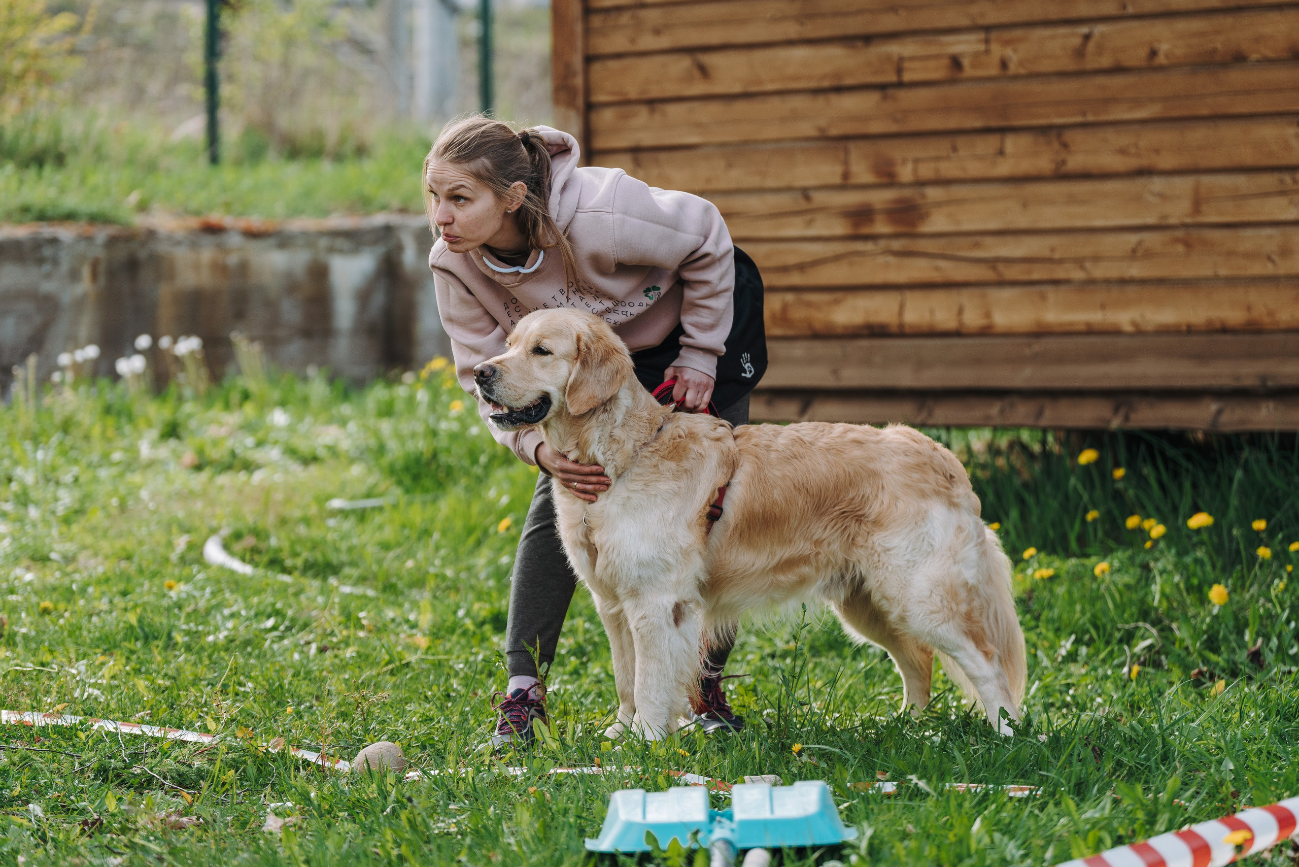 Соревнования по ноузворку в Лосево. Фотограф анималист в Спб недорого Олеся Майорова