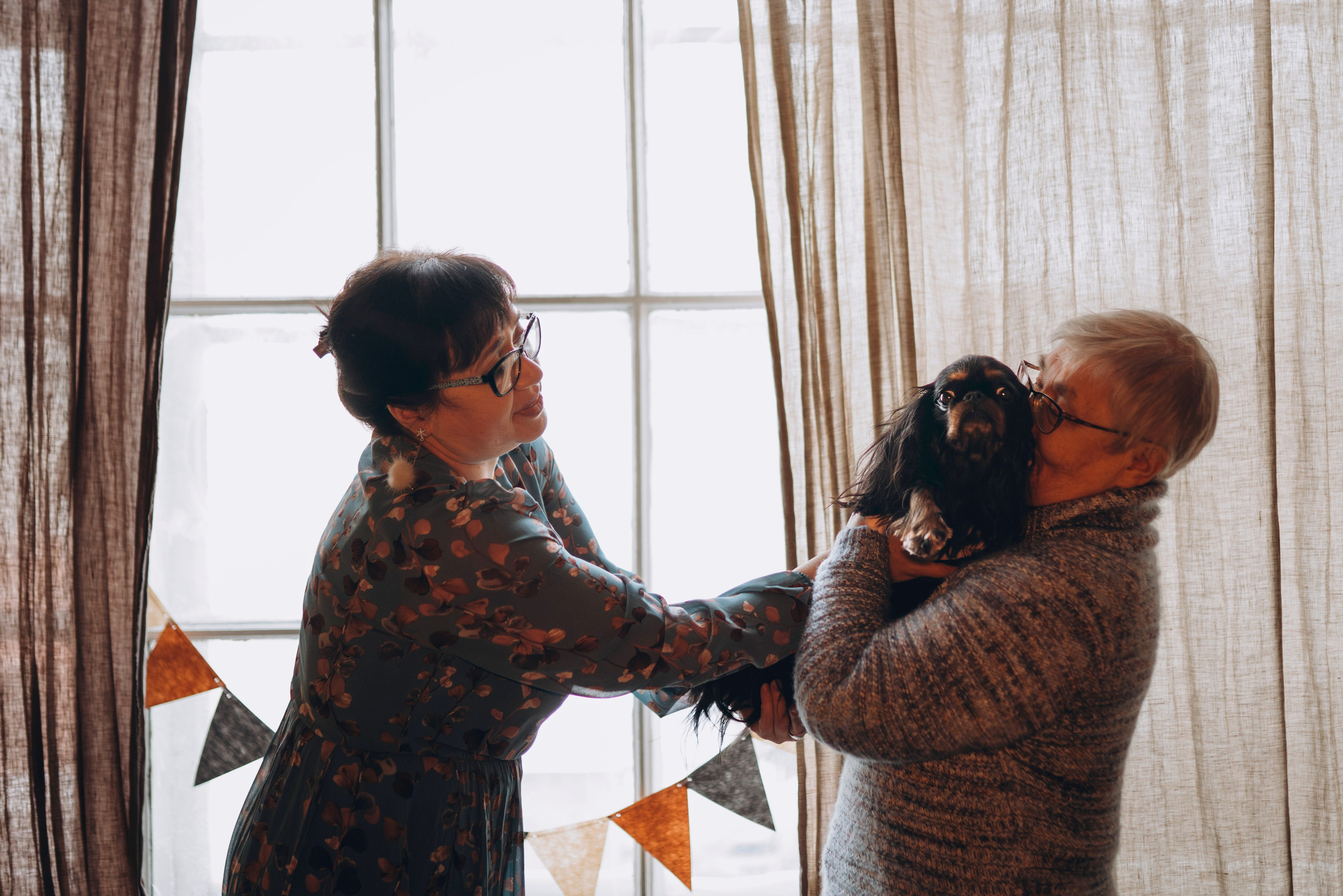 Ариша и её семья. Фотограф анималист в Спб недорого Олеся Майорова