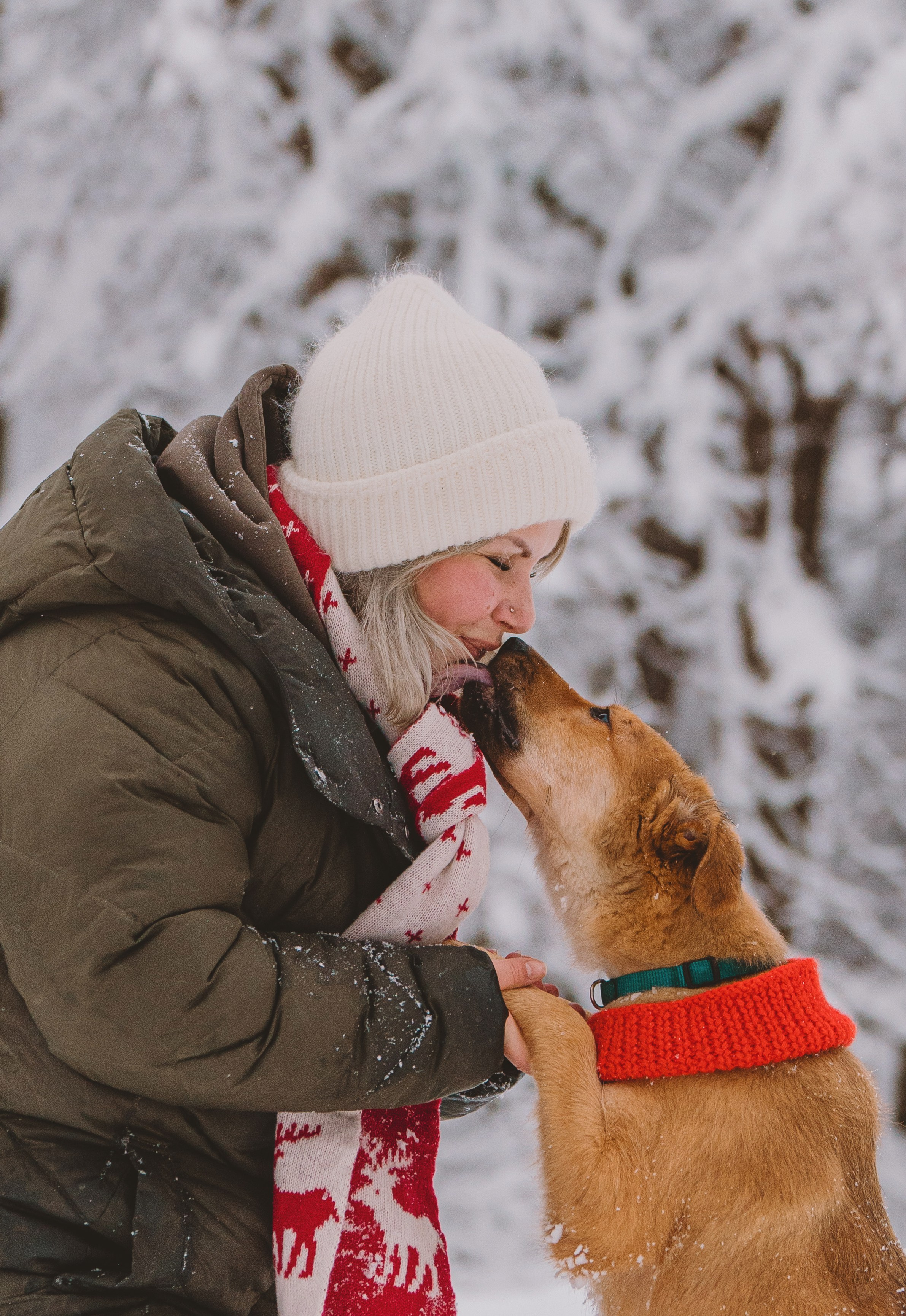 Фотосессия с питомцами на природе. Фотограф анималист в Спб недорого Олеся Майорова