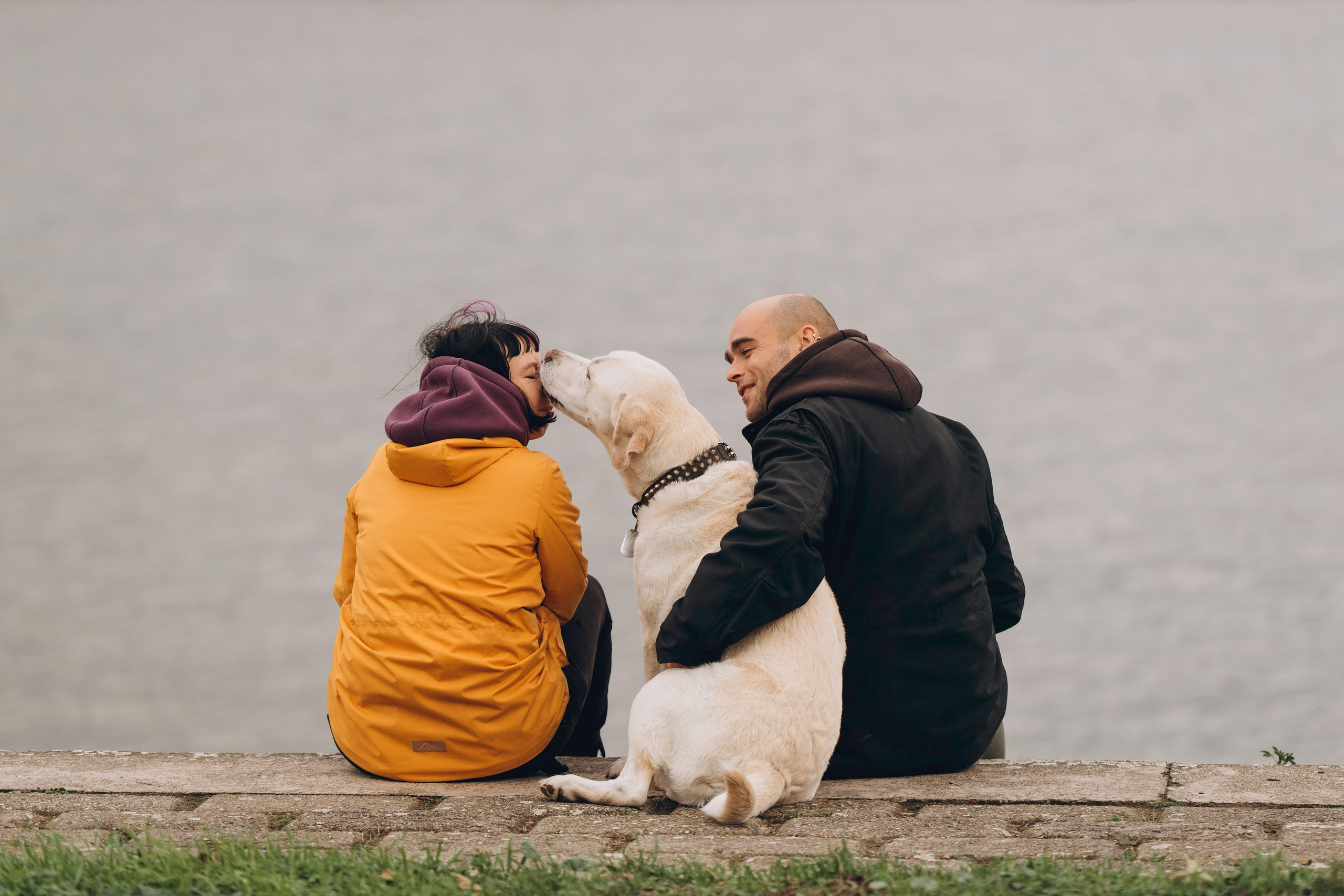 Вати, Лена и Леван. Фотограф анималист в Спб недорого Олеся Майорова