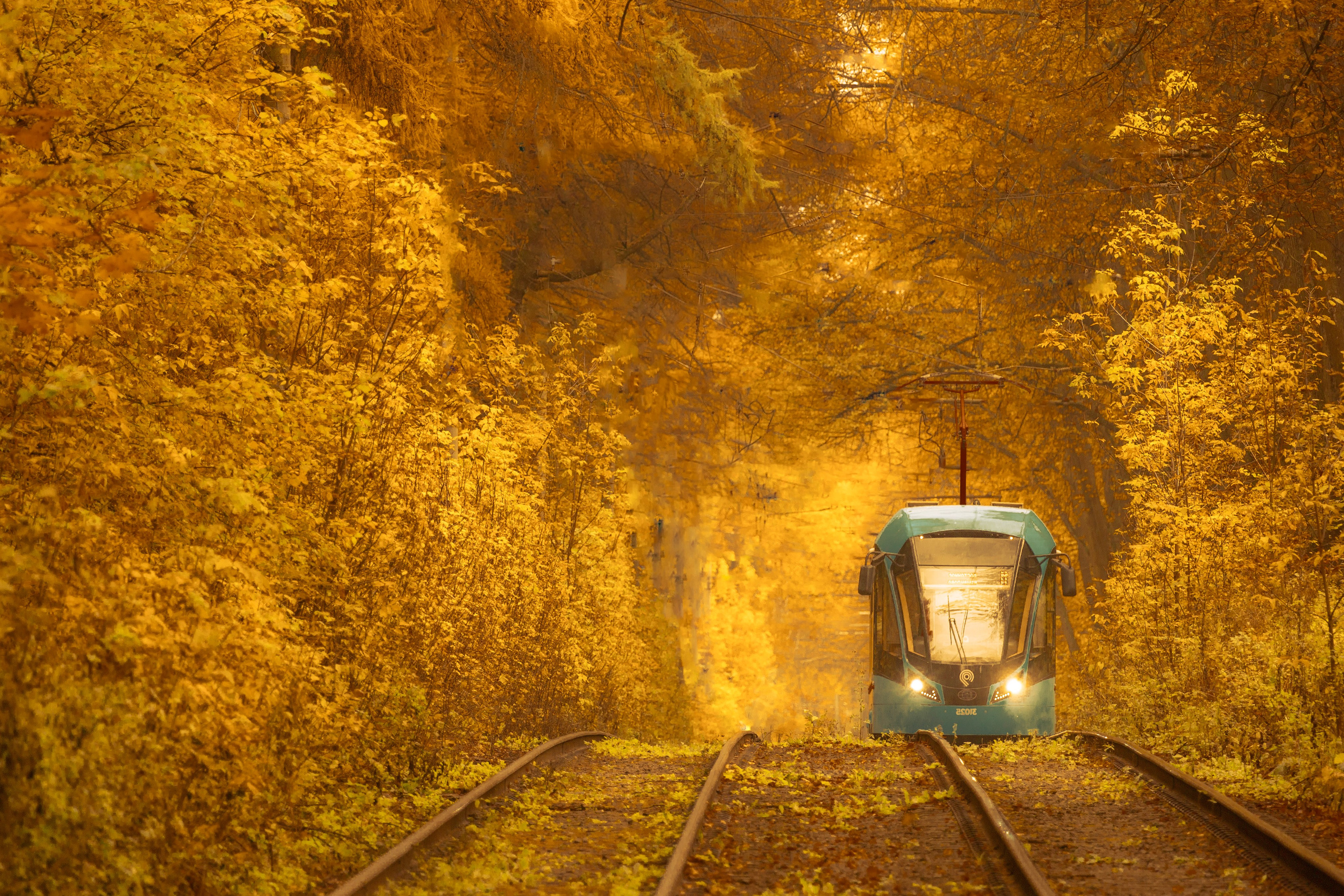 Трамвай золотая осень в измайлово