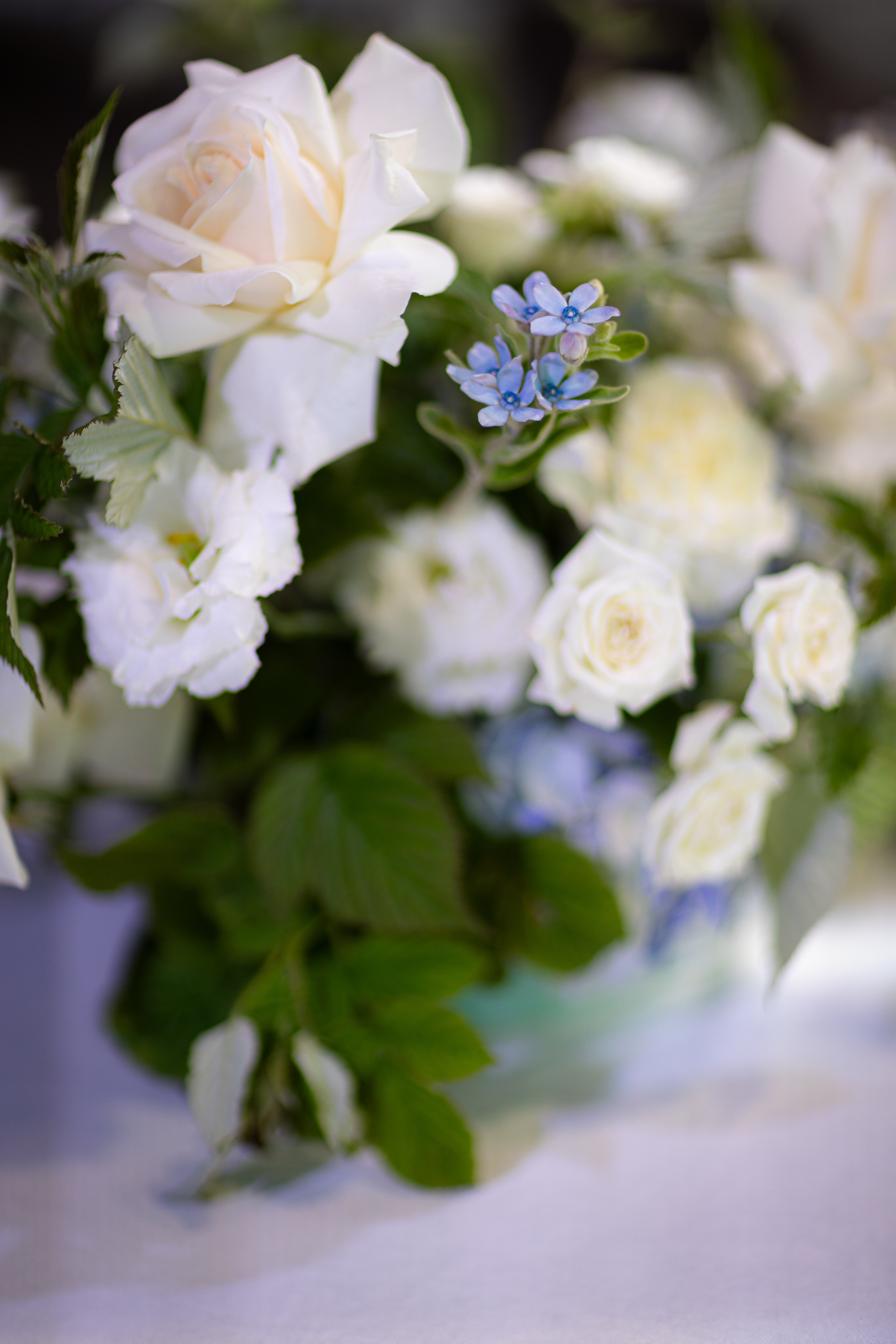 Кристина и Дмитрий. Ваш фотограф — Александра Андрущенко