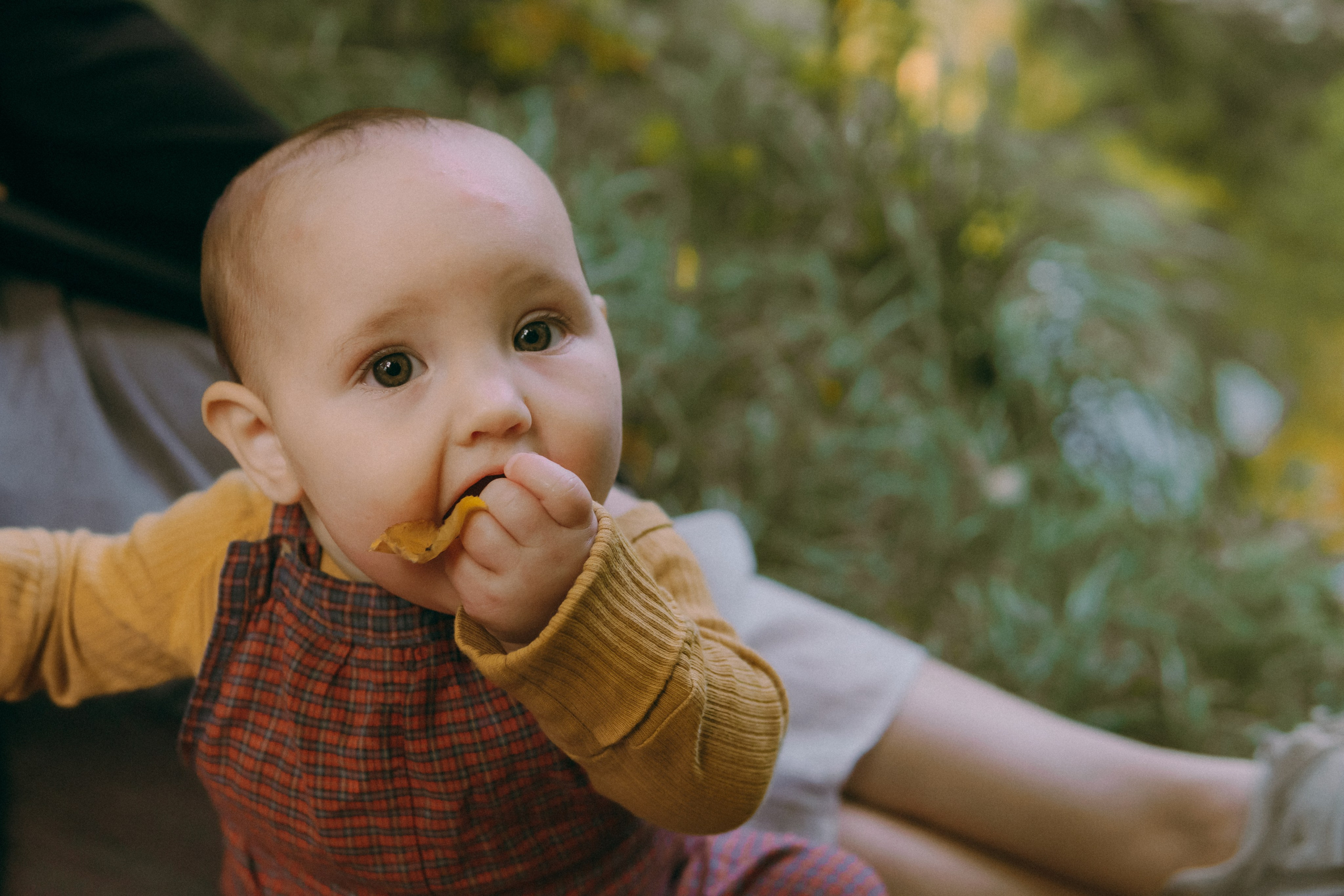 Маша и Мирра. Фотограф-анималист Ксения Воробьева, Москва