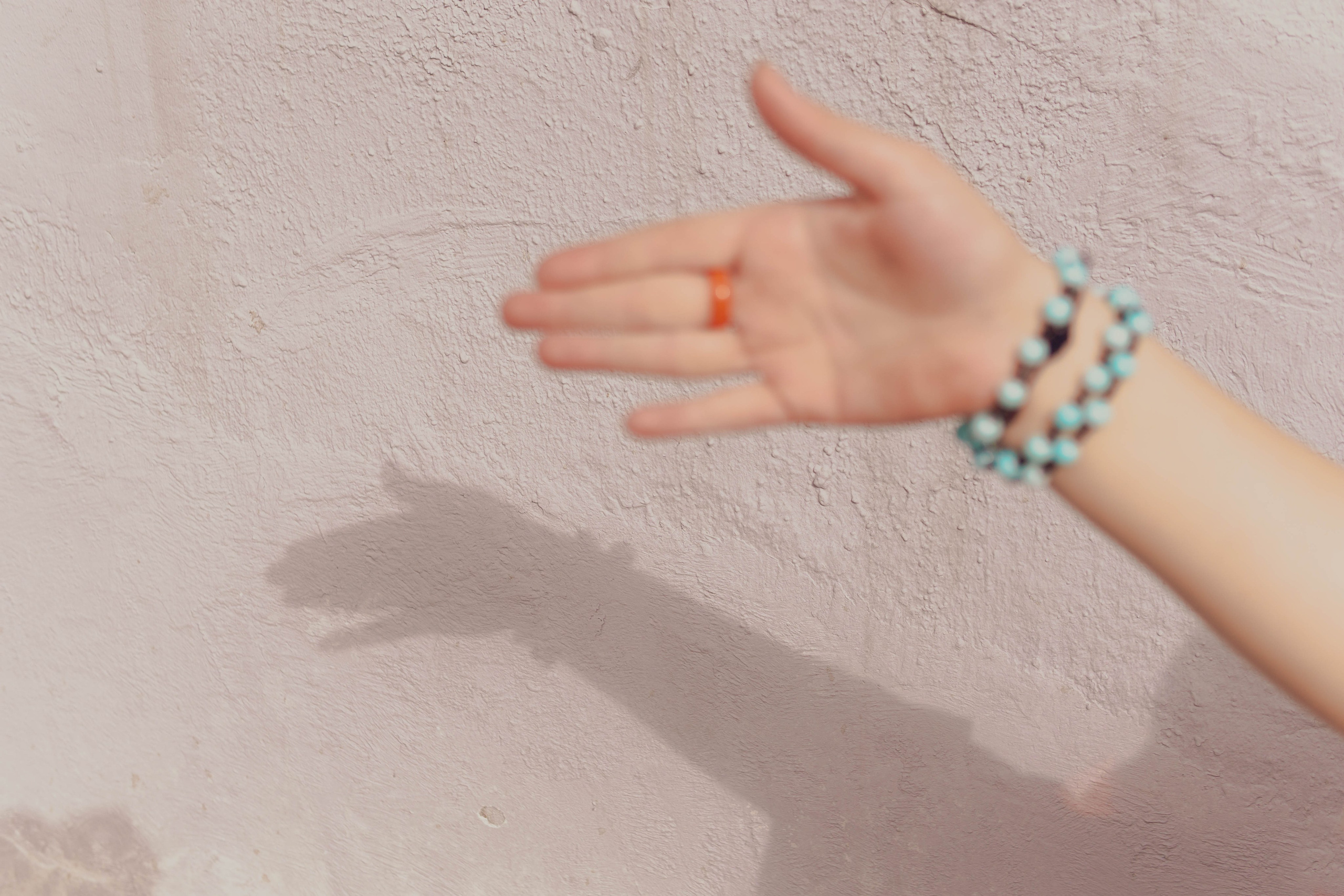 Милена. Фотограф-анималист Ксения Воробьева, Москва